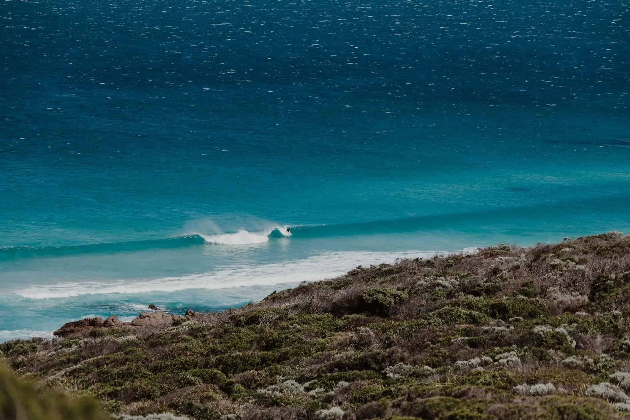 Plan your Dunsborough private wine tour