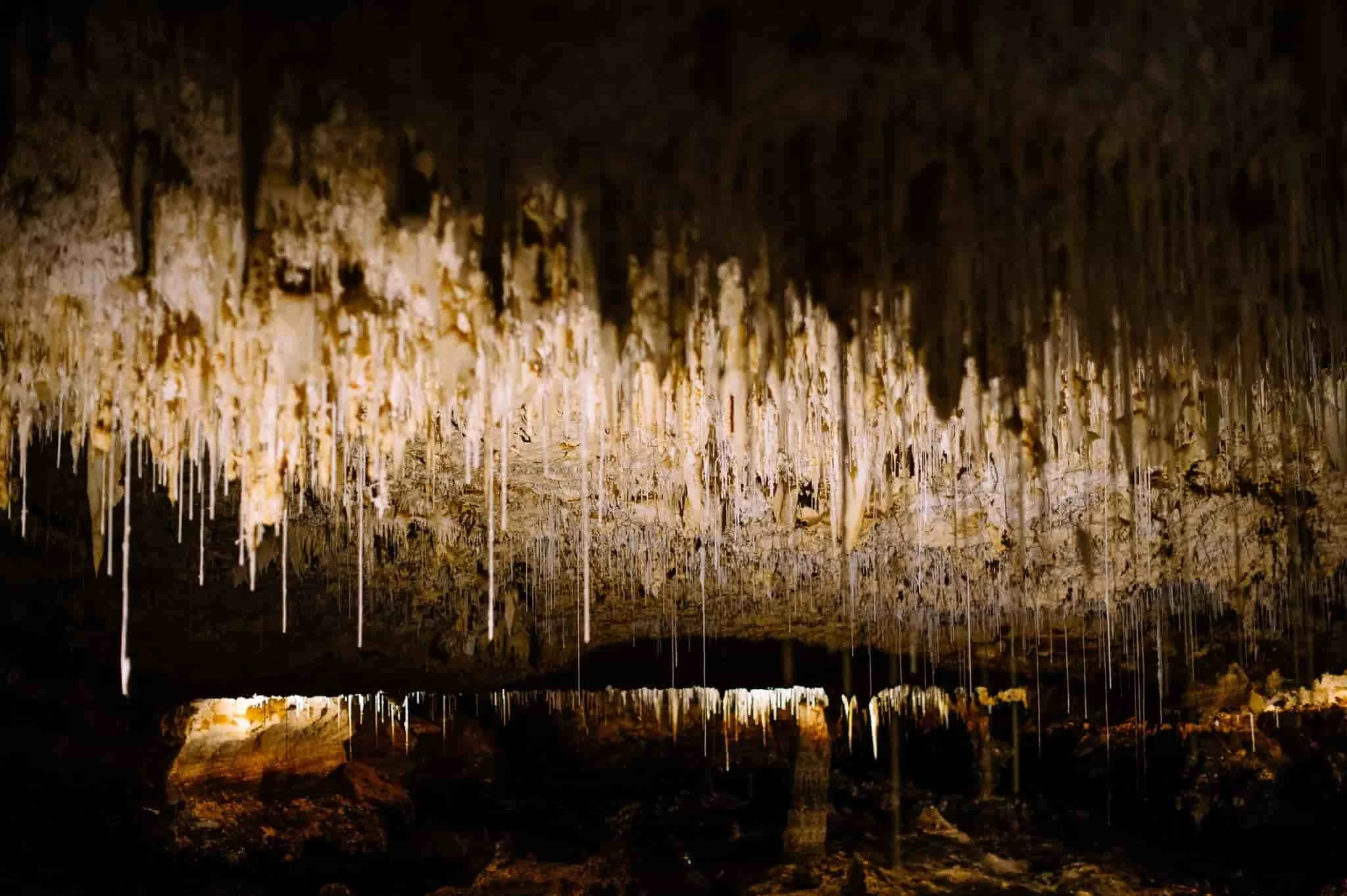 margaret river sightseeing tour