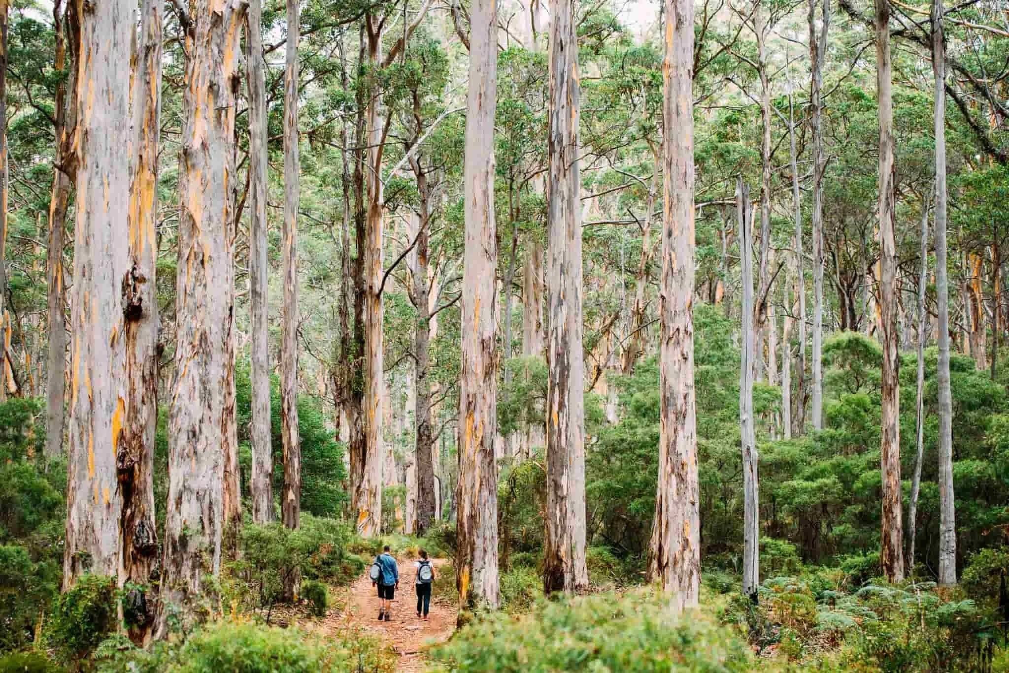 Private Sightseeing Tours of Margaret River