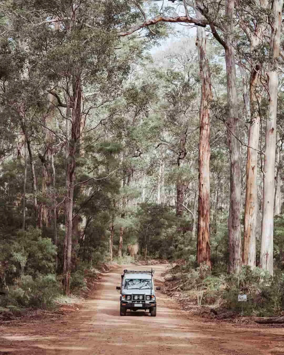 margaret river sightseeing tour