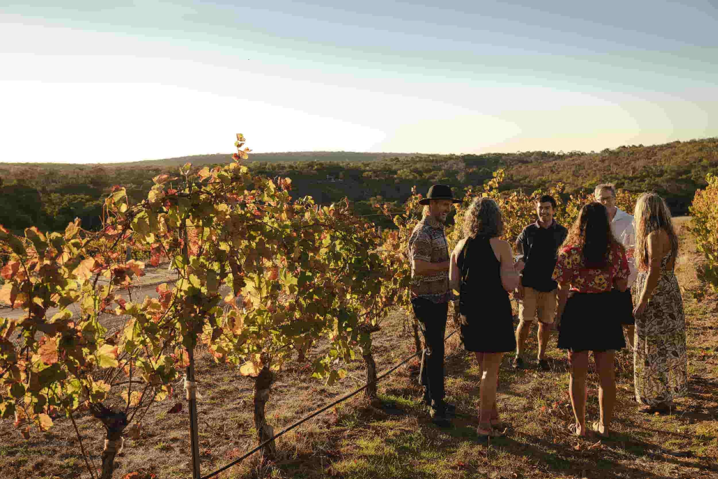 Private Wine Tours from Yallingup