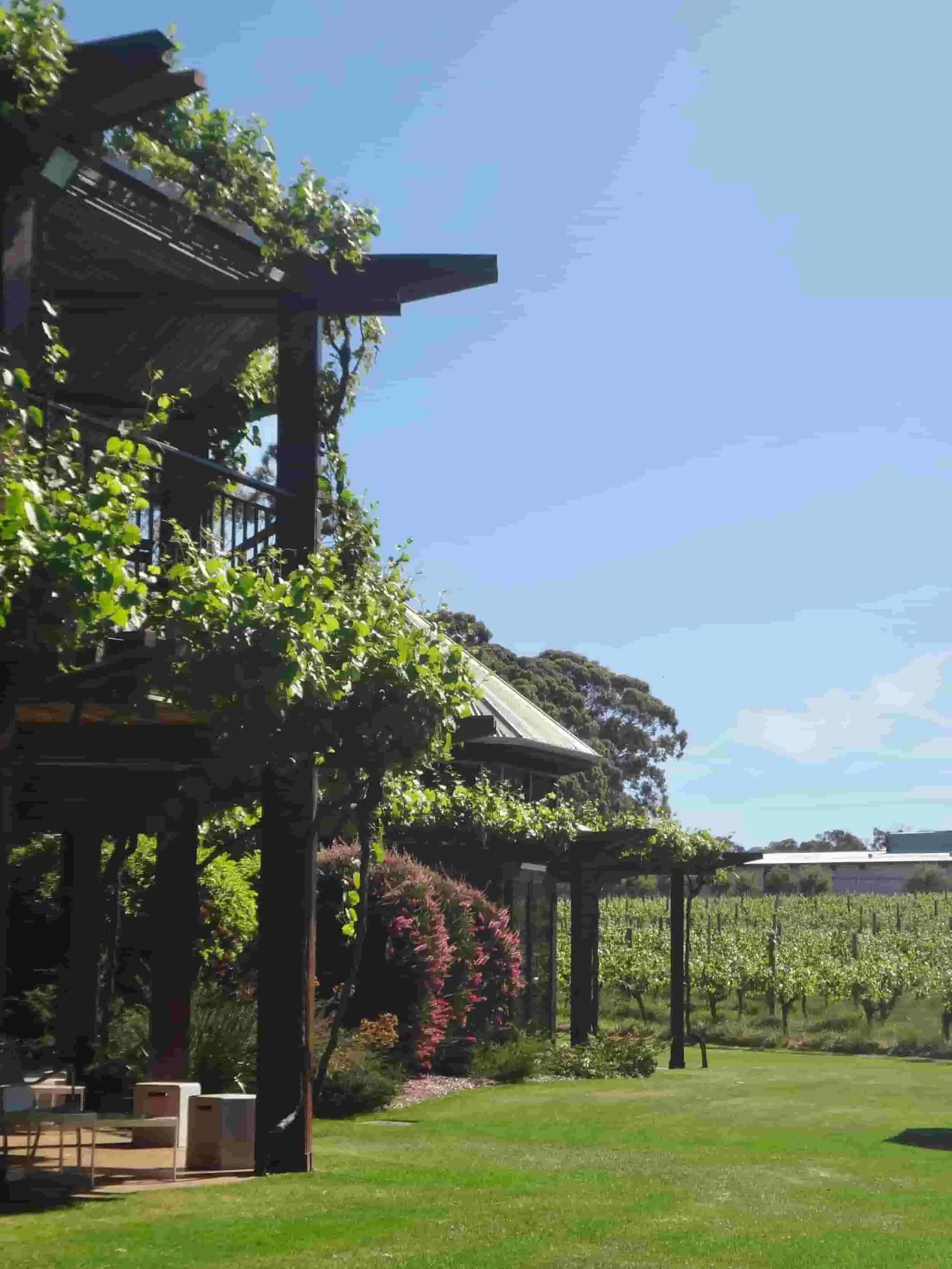 Discover the First Five Wineries in Margaret River