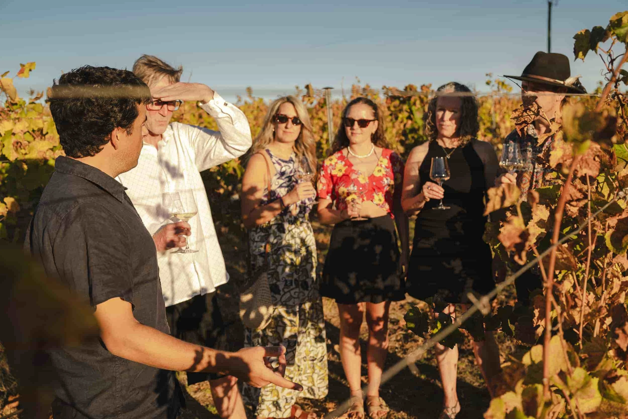 Private Wine Tours from Busselton