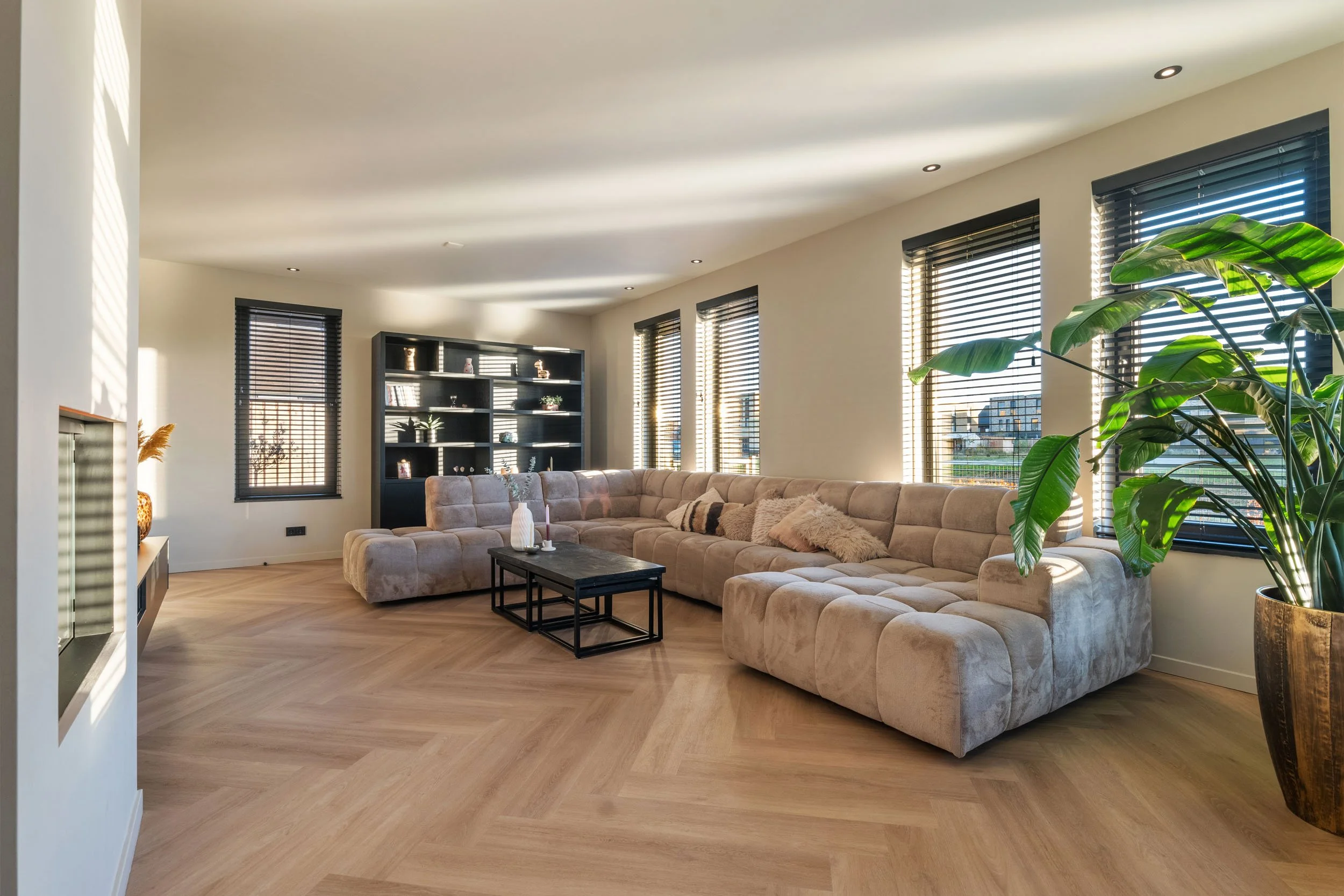 Copy of P1637924.jpg