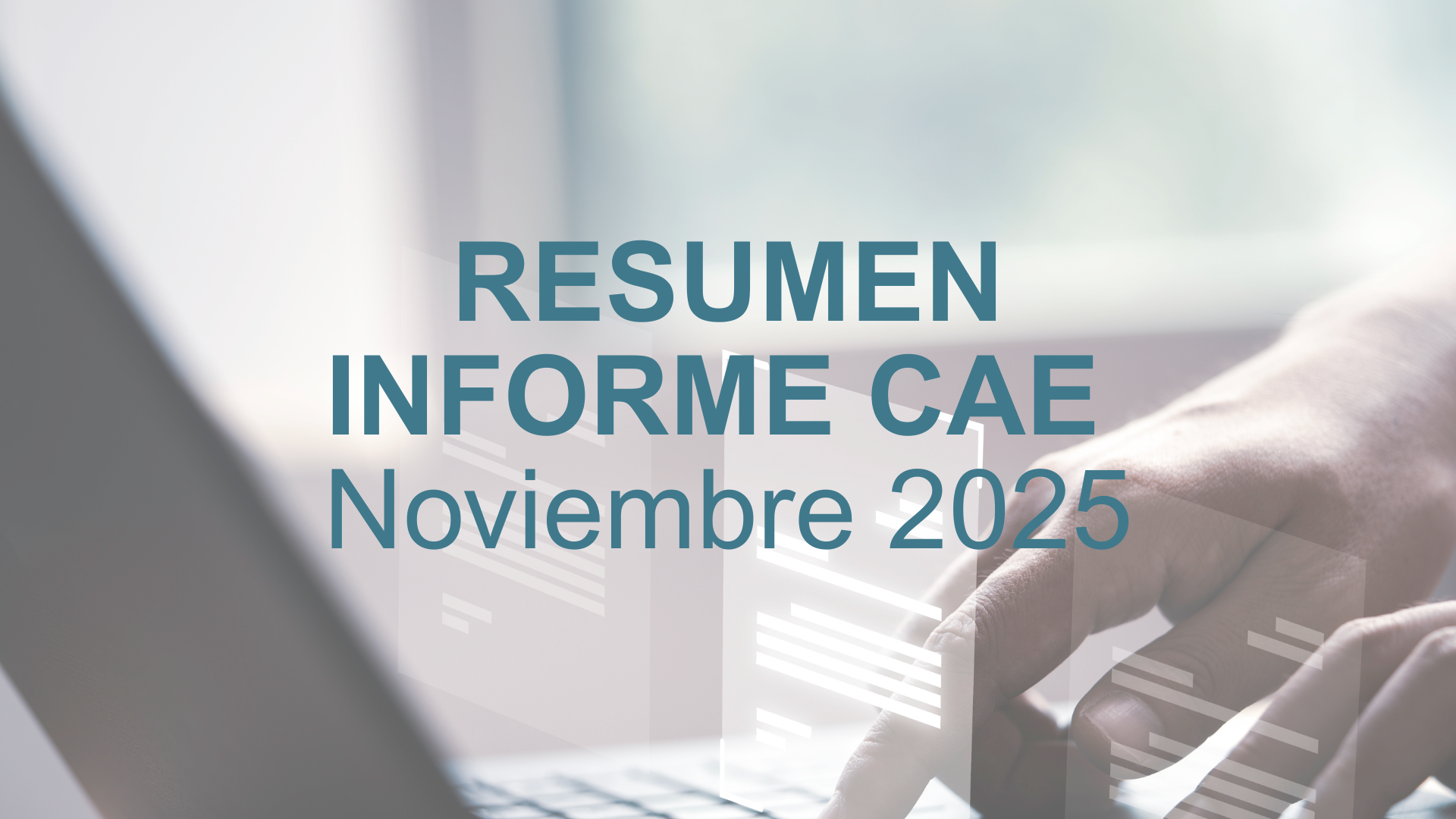 Resumen informe CAE: Noviembre 2025