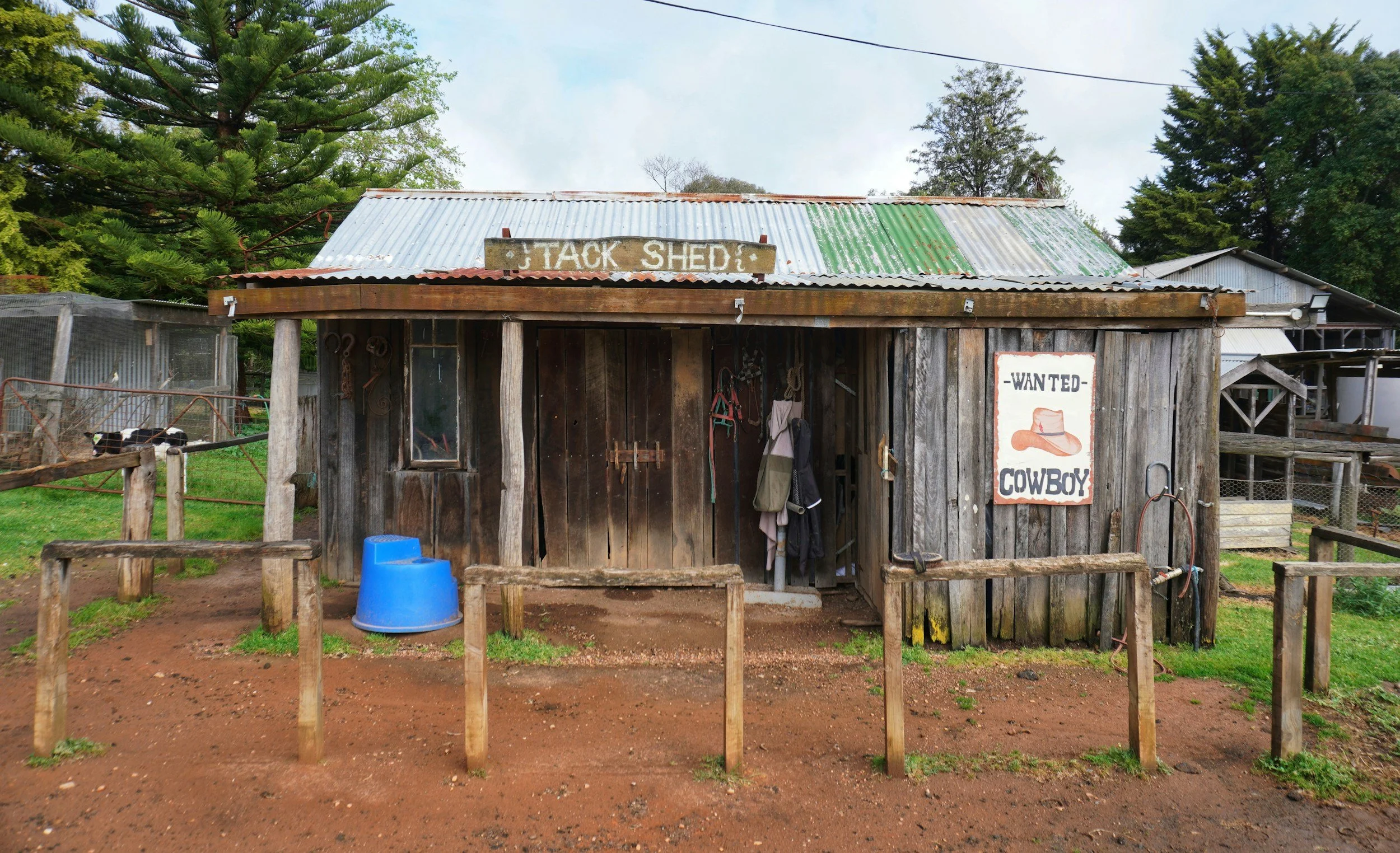 Designing the Perfect Man Cave or She Shed