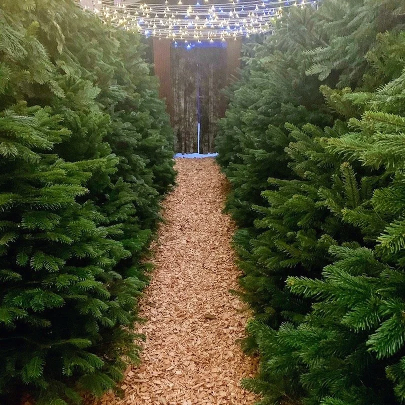 NYE Wedding Walkway