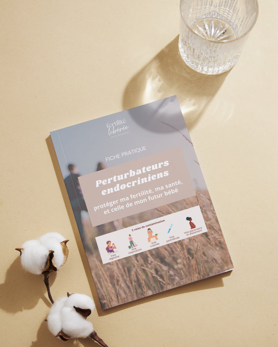 Fiche pratique - Perturbateurs endocriniens en fertilité - mise en situation.png
