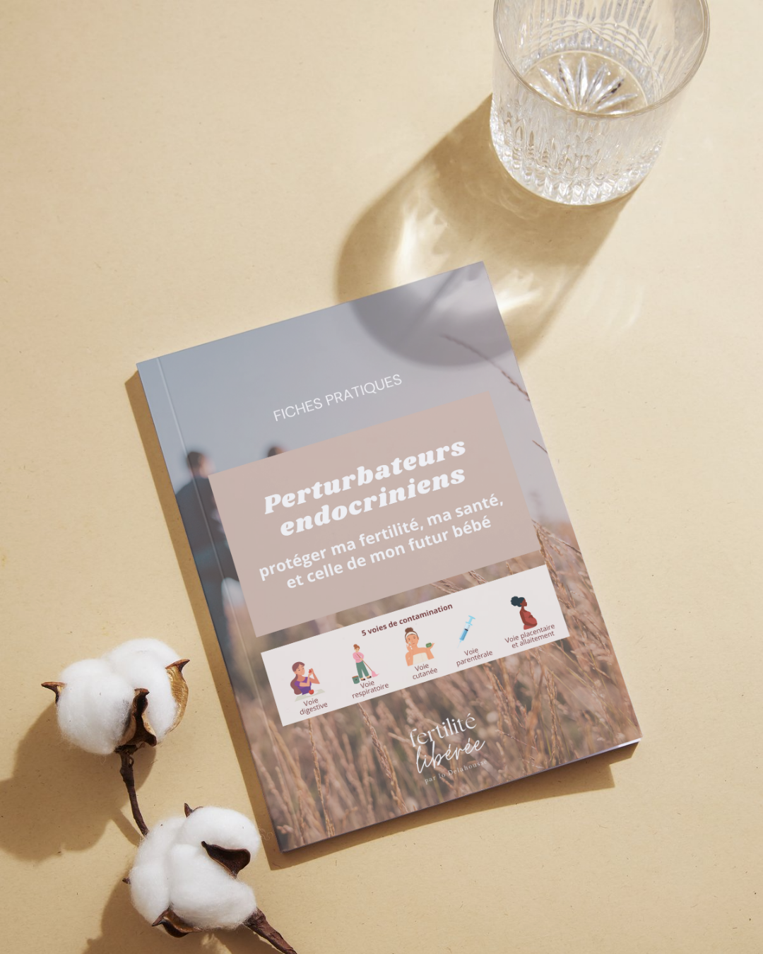 Fiches pratiques - Perturbateurs endocriniens - couverture.png