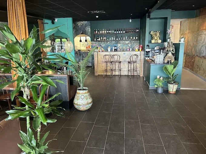 Interiör av en restaurang eller café med barstolar framför en färgglad bardisk. Växter i stora krukor pryder golvet och en rad med flaskor syns på hyllan bakom baren. Inredningen har en exotisk och avslappnad stil.