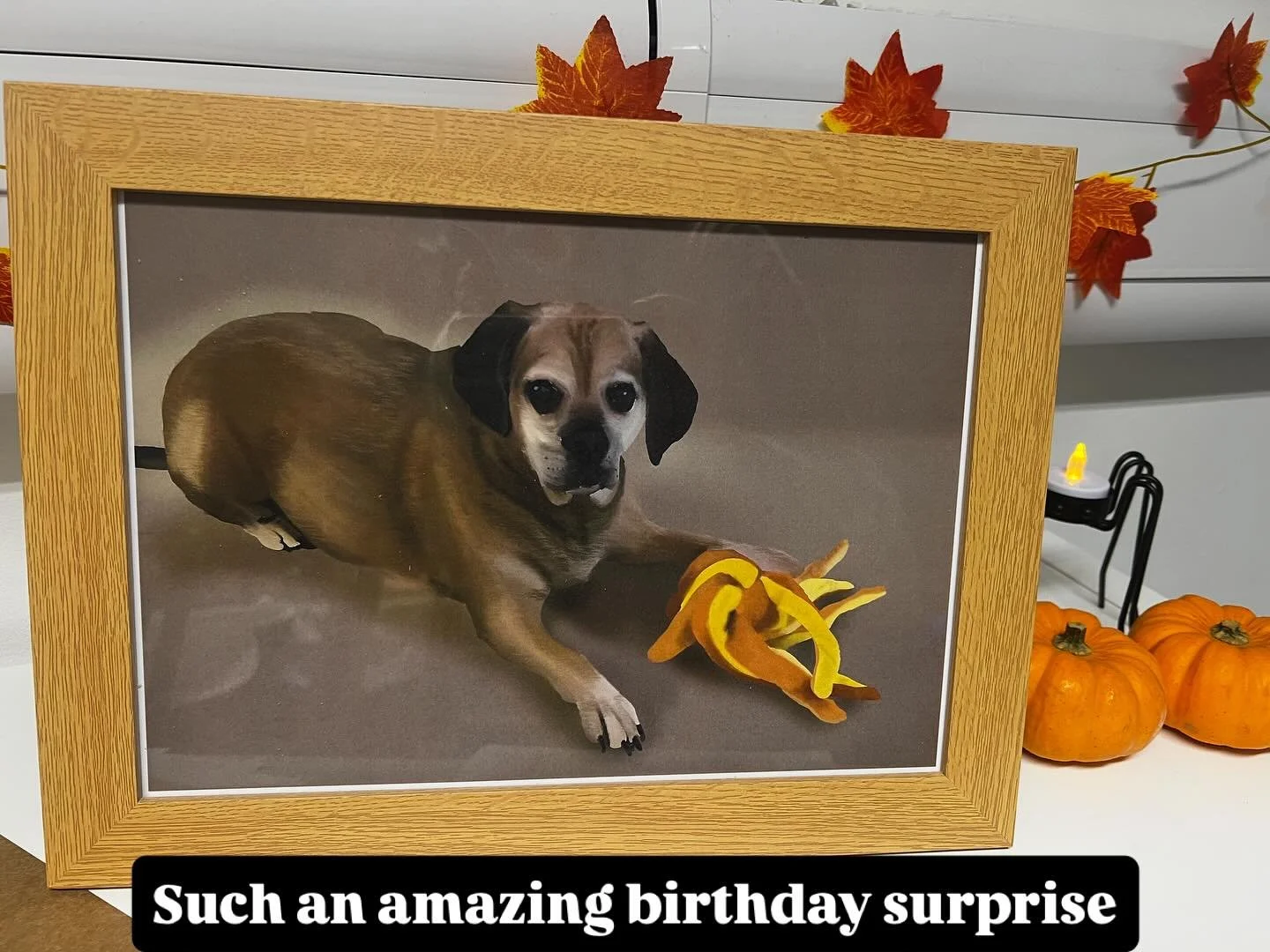 I am absolutely over the moon with this fabulous gift from @chronic_crafter ✽ the most thoughtful present ✽ I love him 

Nat&rsquo;s digital art is fantastic - she doesn&rsquo;t give herself enough credit. You&rsquo;re knocking it out the bag Nat. Th