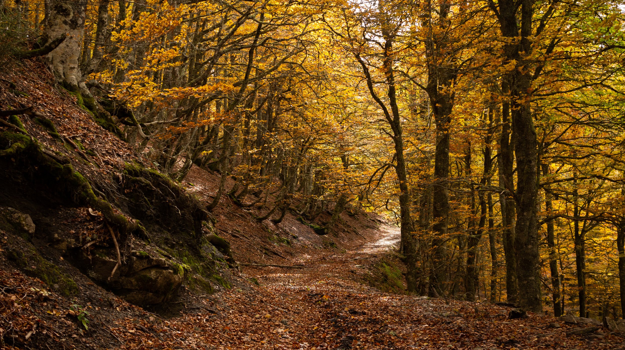 Outono nos Picos de Europa