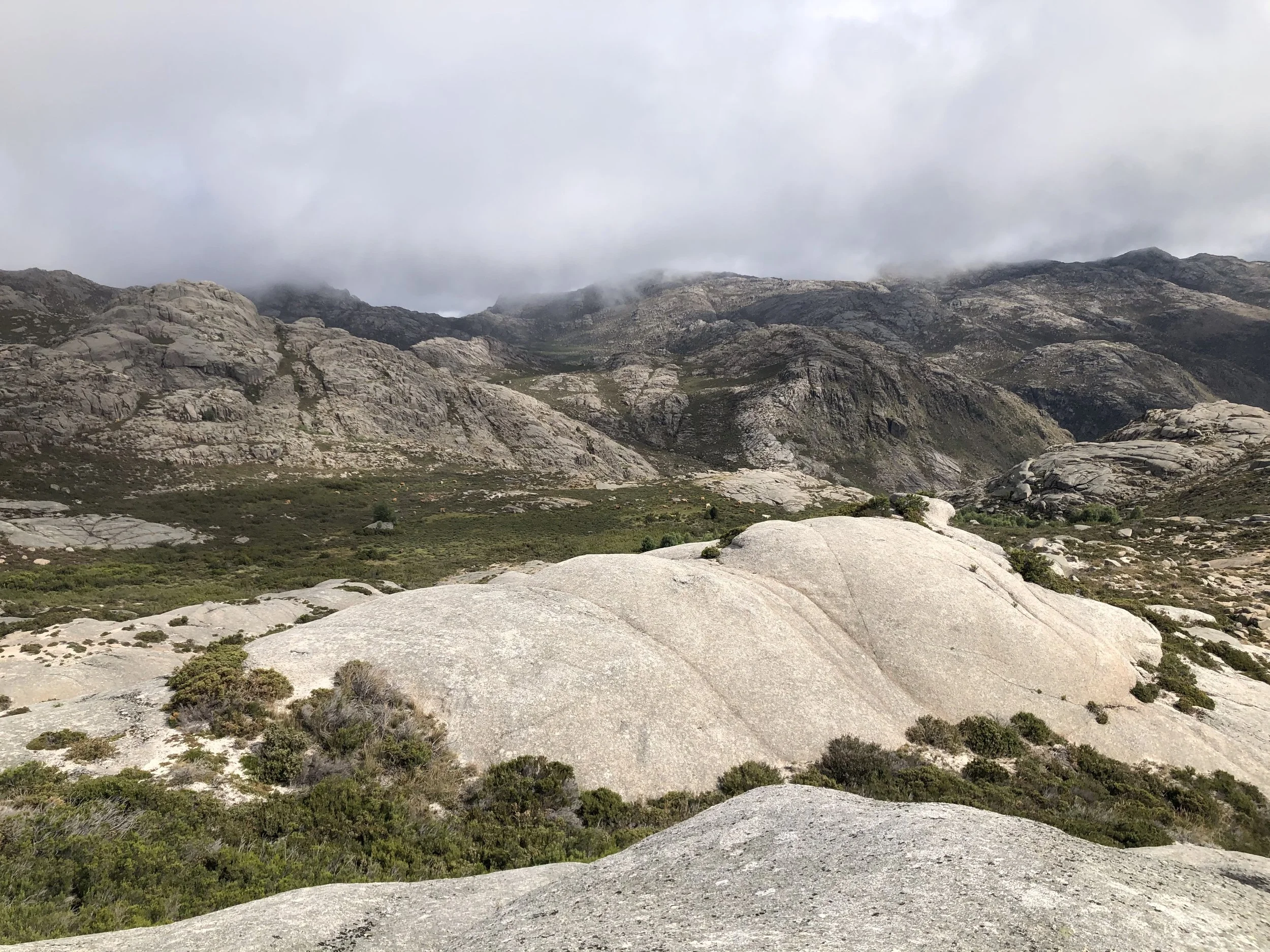 Copy of geres-profundo-5.jpeg