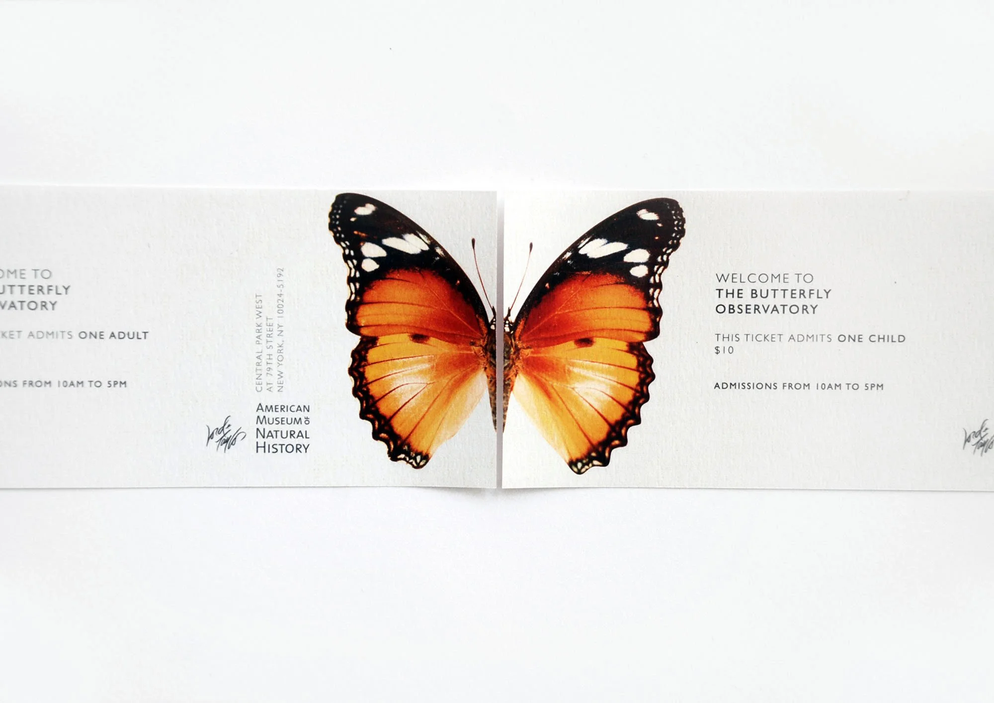 A butterfly exhibit ticket with a butterfly illustration at the center.