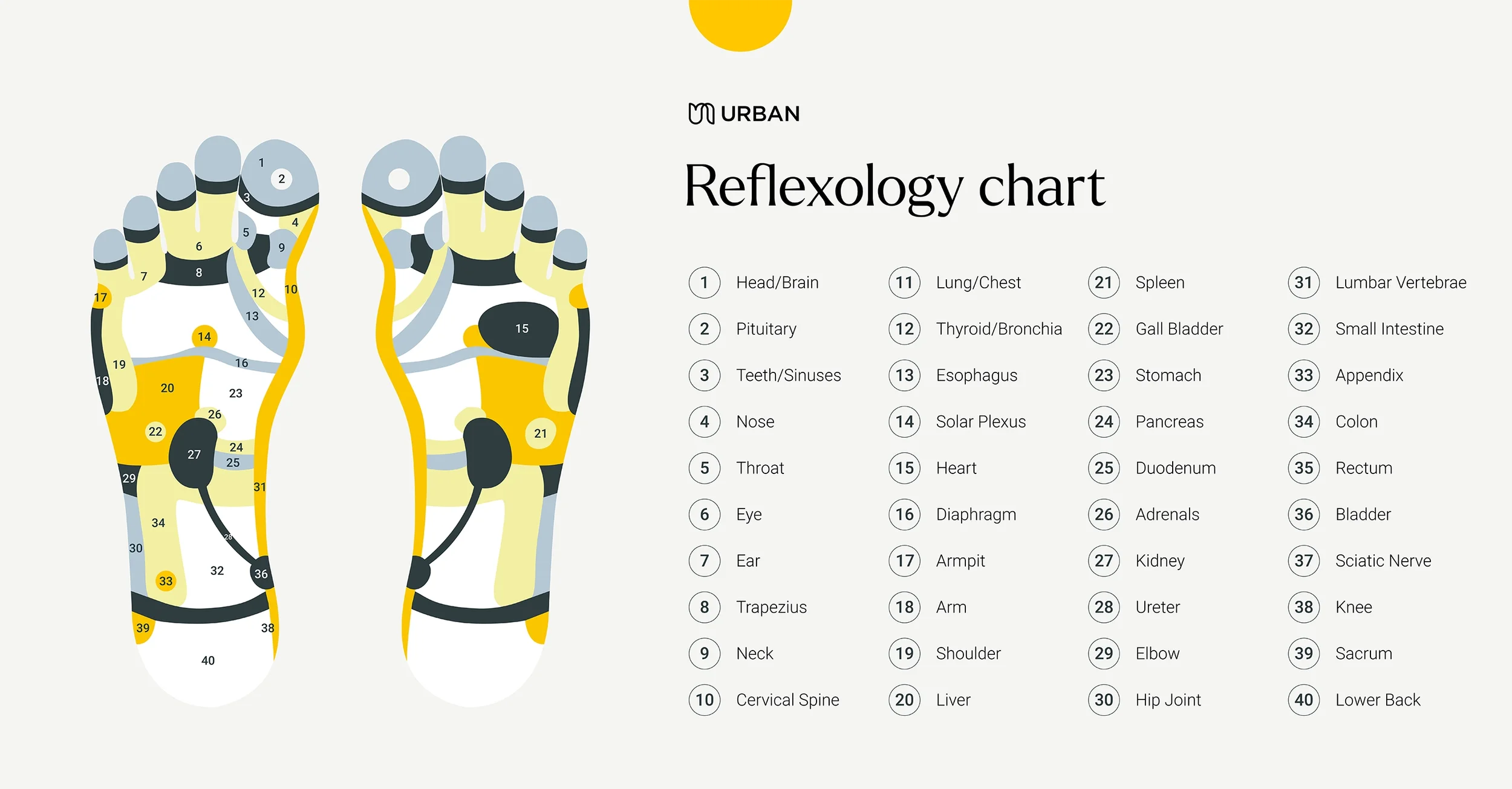A reflexology chart of human feet showing various pressure points and their corresponding organs and body parts, with a key on the right listing numbered labels and their descriptions.