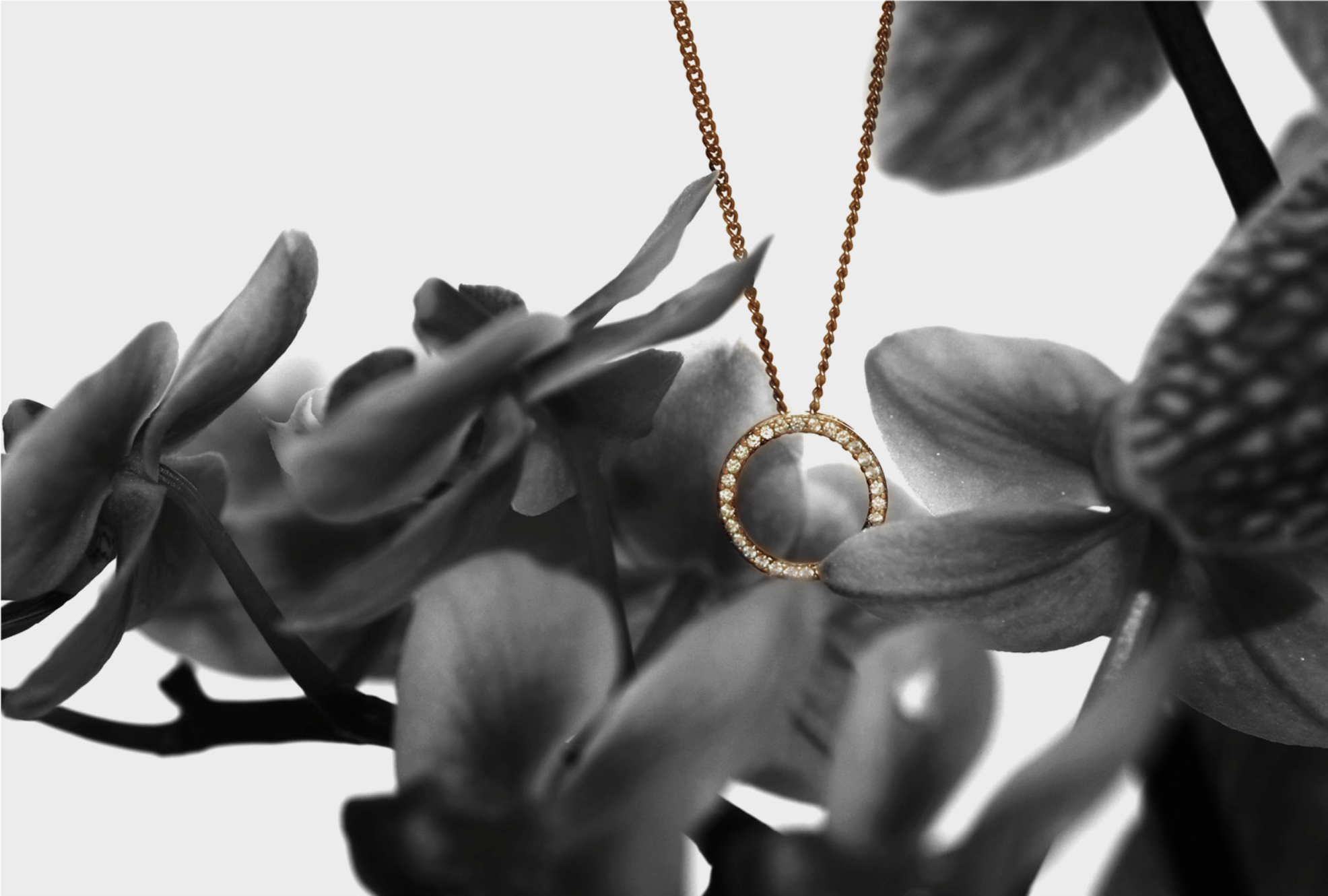 A gold necklace with a circular pendant encrusted with small diamonds hanging among dark and light-colored leaves.