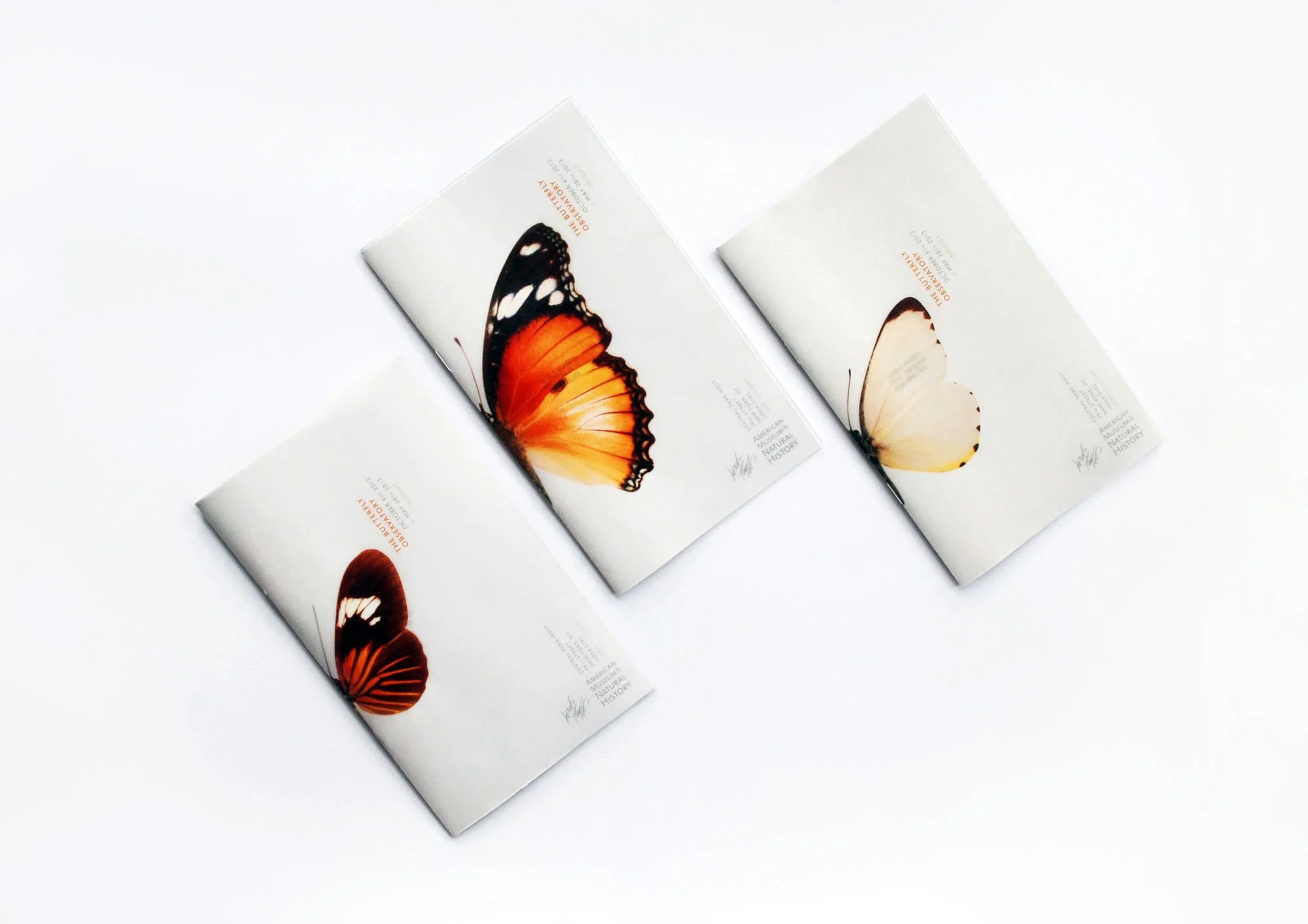 Three postcards with butterfly illustrations on a white background.
