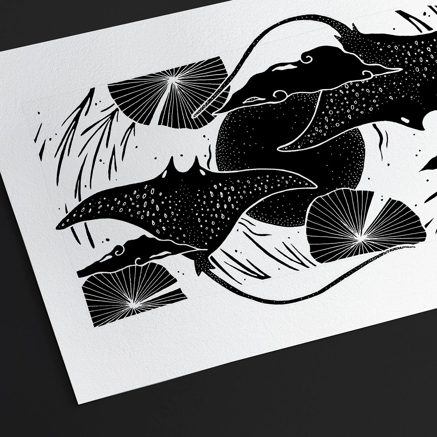 Black and white artistic illustration of two dolphins swimming among stylized water lilies and aquatic plants.