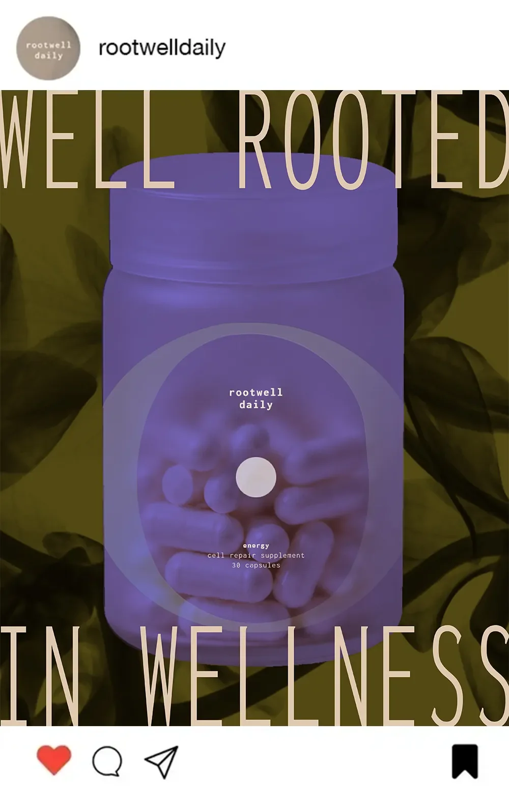A purple container of Rootwell Daily energy supplement capsules with a hand holding capsules, surrounded by green leaves.