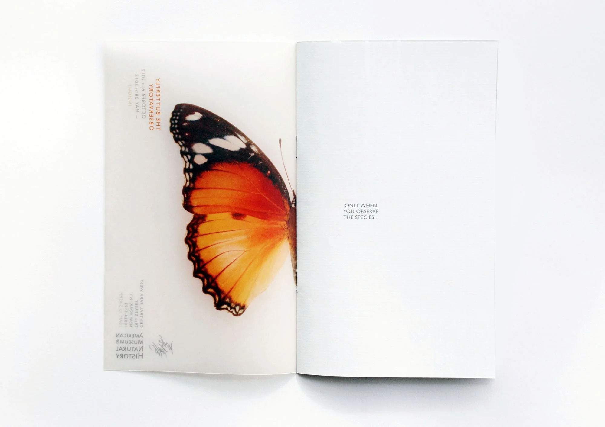 Close-up of a butterfly with orange and black wings on a white background with orangered and black text.