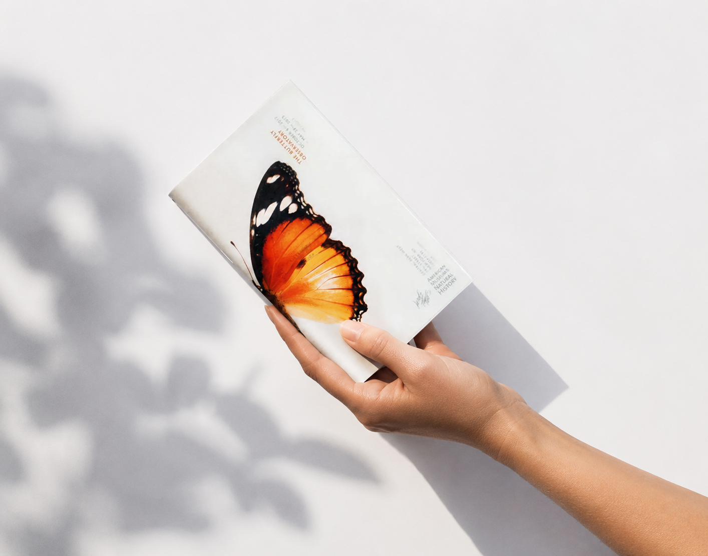 A person's hand holding a book titled 'Butterfly' with an image of a Monarch butterfly on the cover, against a white background with shadows.