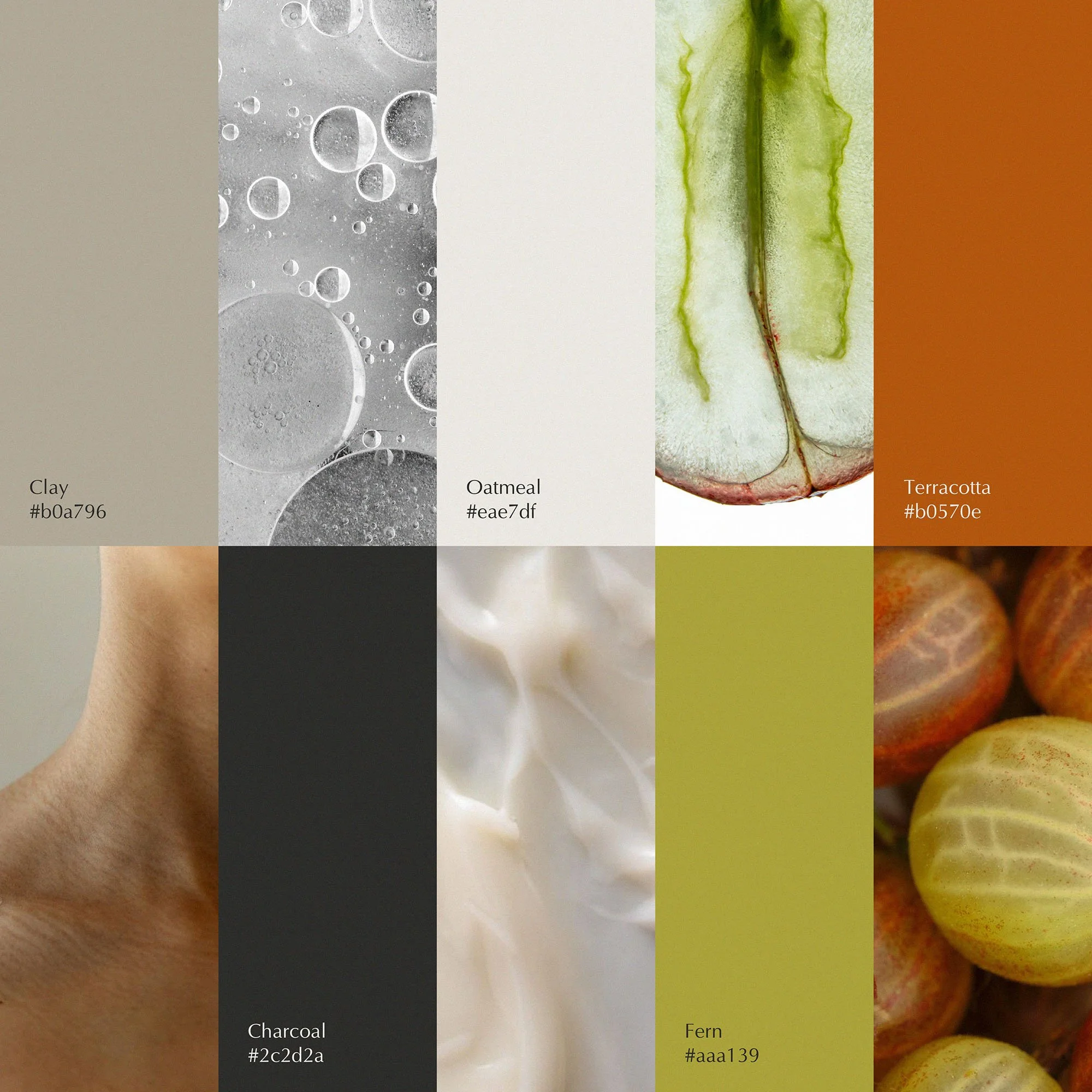 Close-up of various food ingredients with color labels: clay, charcoal, oatmeal, fern, terracotta.