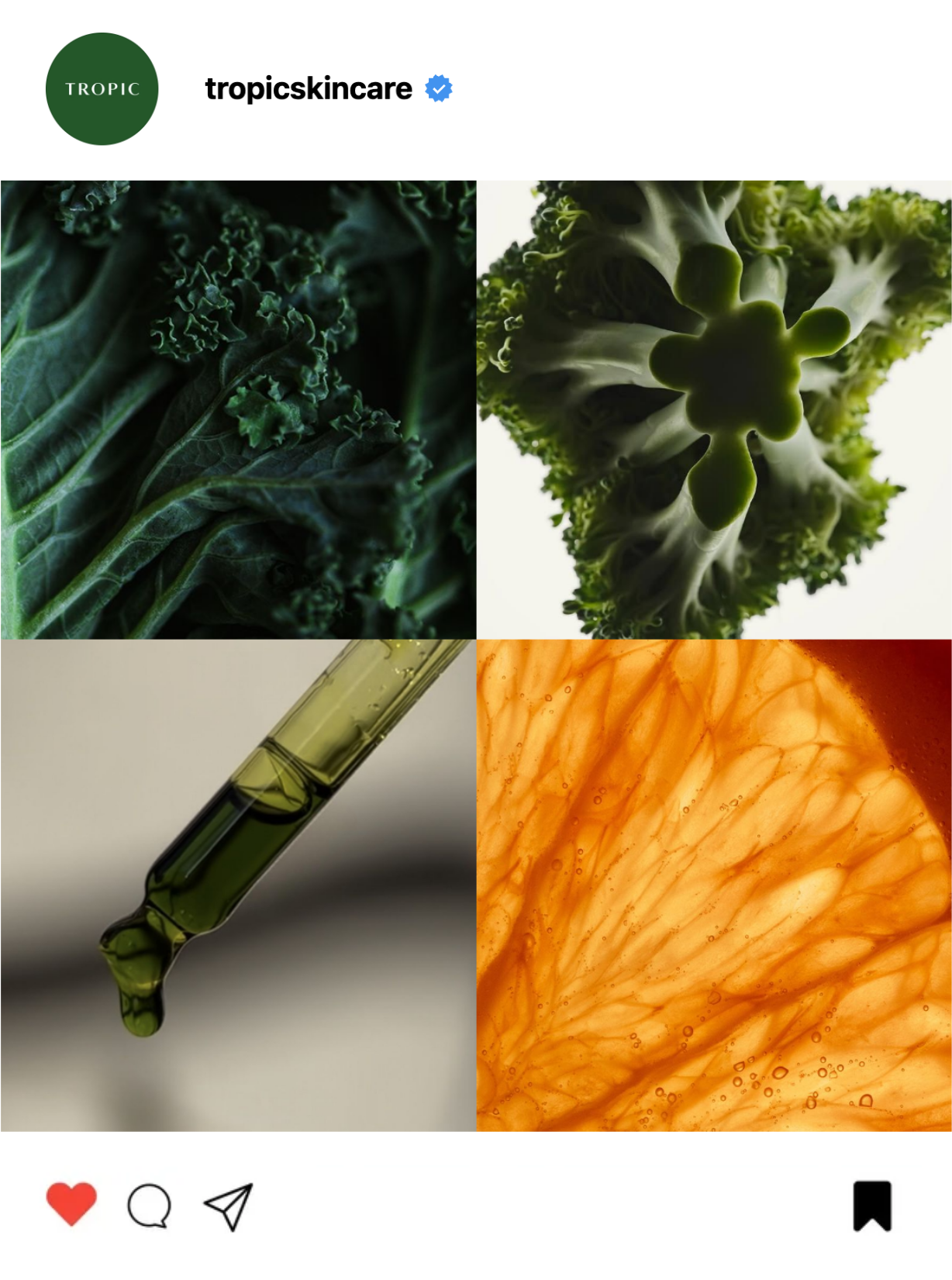 Collage of four images: top left shows dark green kale leaves, top right shows broccoli from below, bottom left shows a dropper with green oil, bottom right shows an orange slice.