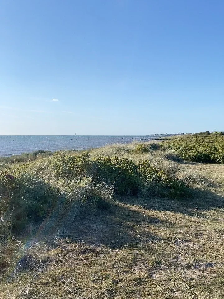 SWEDEN

Loved being back in Sweden, thank you so much to everyone for having me!

1. The Swedish coast - a crisp swim

2. Surstr&ouml;mming is a traditional Swedish dish - herring fermented for 6 months - it stinks so bad that it&rsquo;s illegal to e