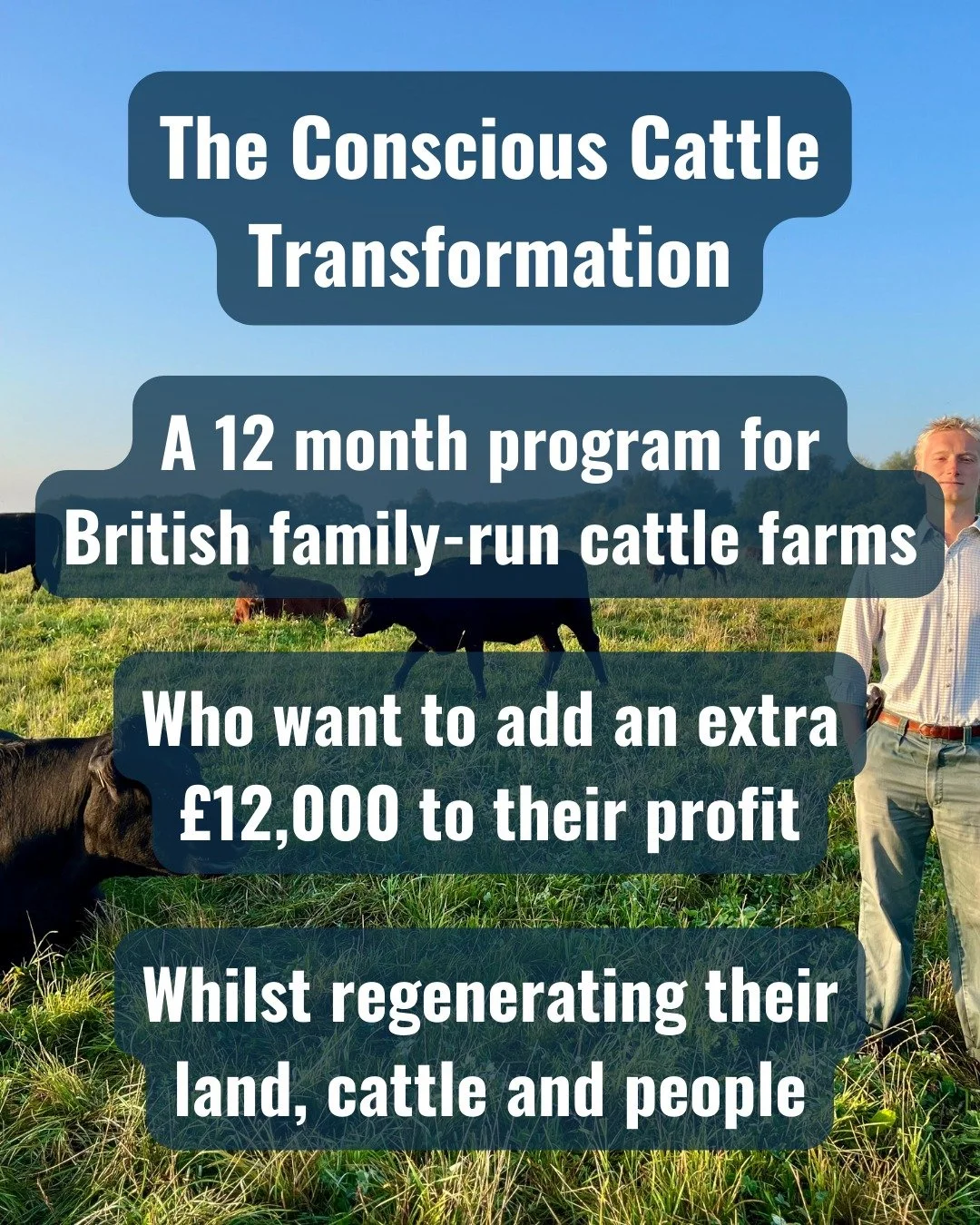 🐂 The Conscious Cattle Transformation is our 12-month program for British family-run cattle farms who want to add an extra &pound;12,000 to their profit whilst regenerating their land, cattle and people. 🐂 

🗺️ OUR PROGRAM

Over the course of the 