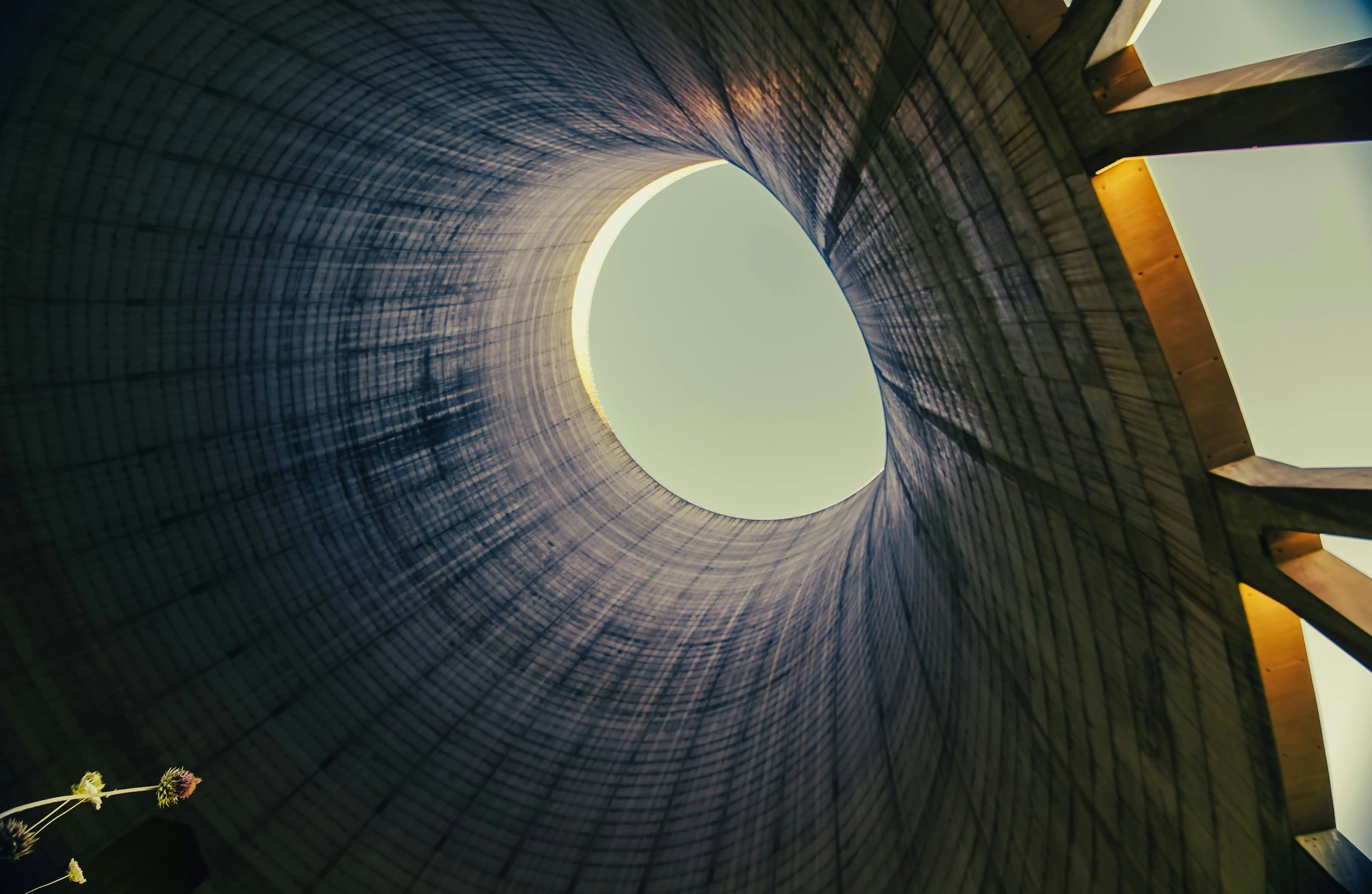 Nuclear Energy and Nuclear Weapons: A Shared Origin with Diverging Paths