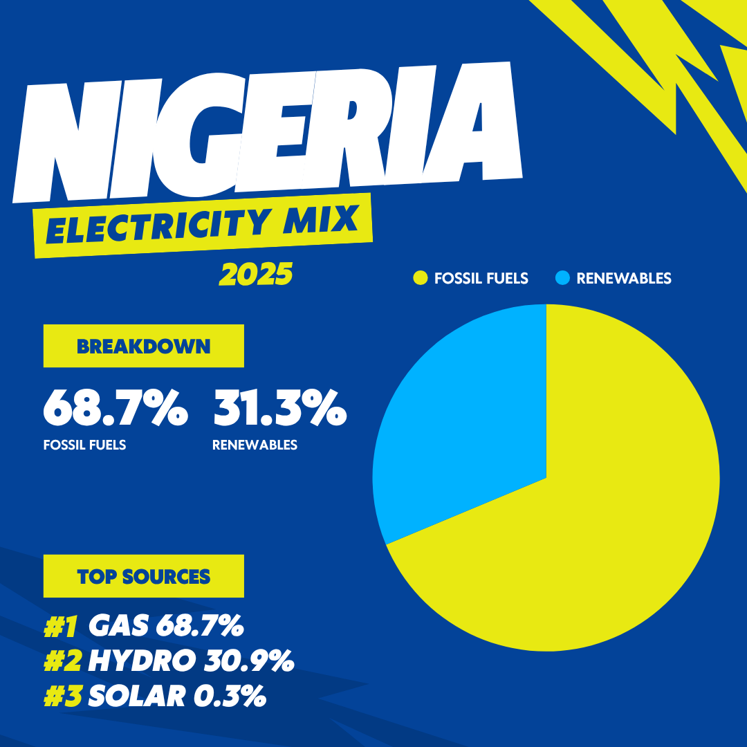 Nigeria 2025 electricity mix