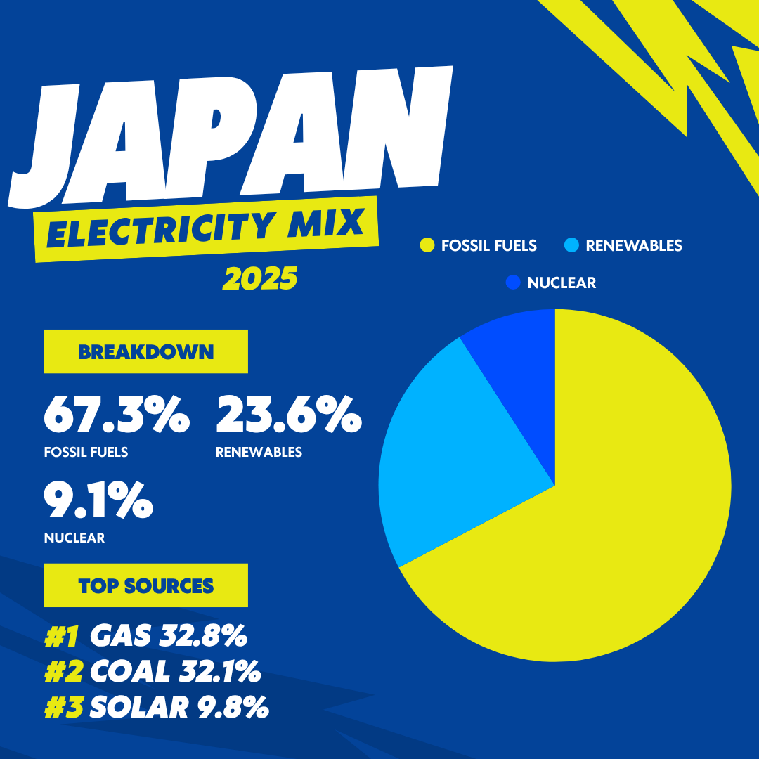 Japan 2025 electricity mix