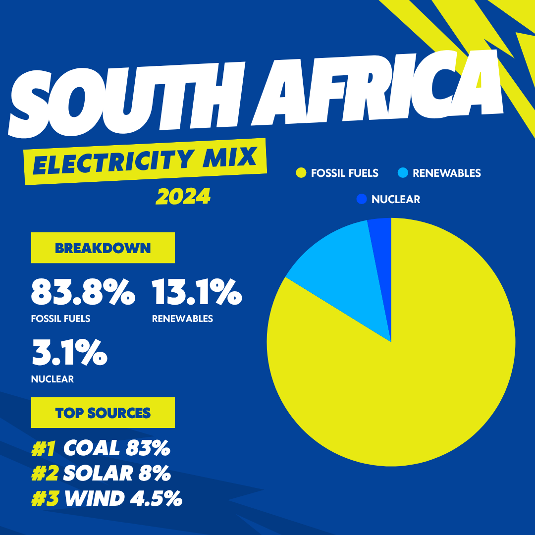 South Africa Energy Profile 2024: Electricity Mix