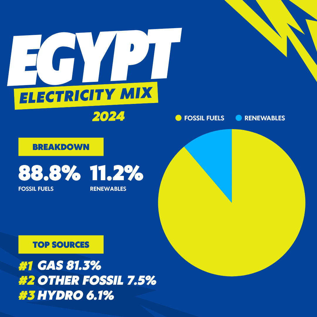 Egypt Energy Profile 2024: Electricity Mix