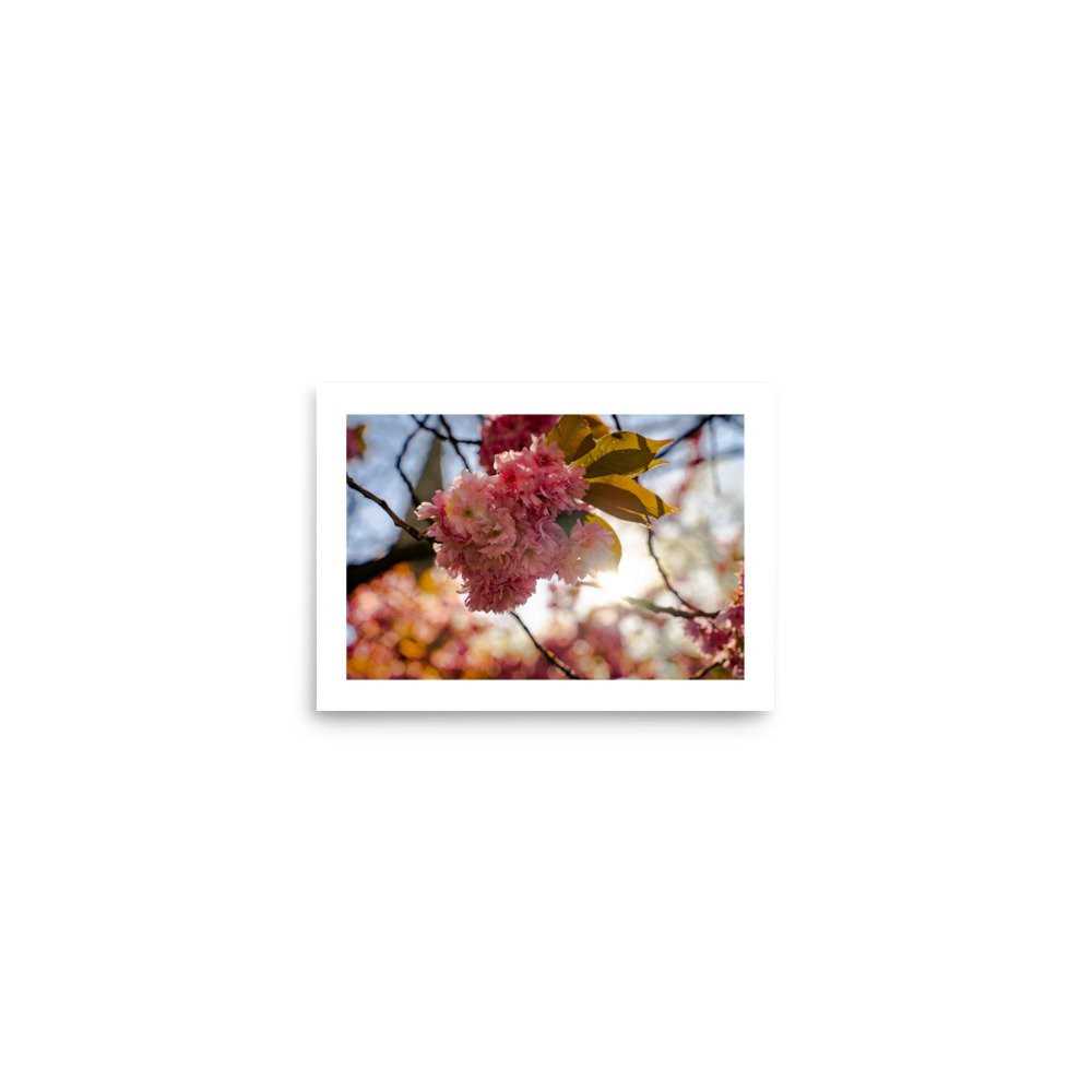 enhanced-matte-paper-poster-(in)-5x7-front-65d3d0a39193b.jpg