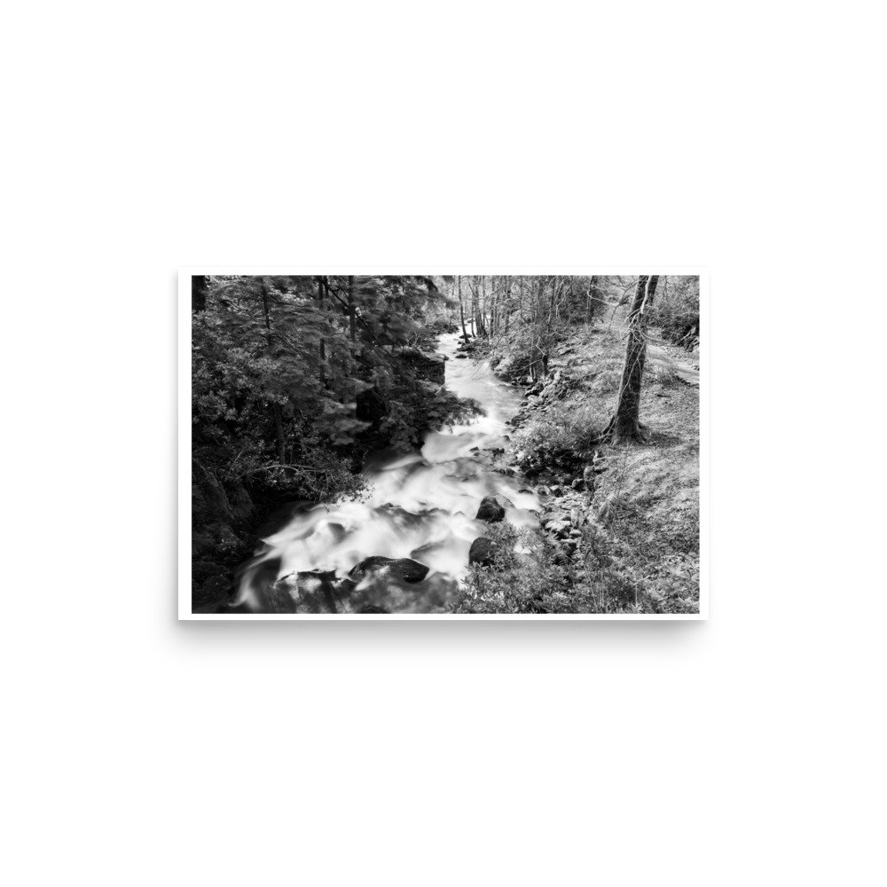 enhanced-matte-paper-poster-(in)-12x18-front-65de3fd62d792.jpg