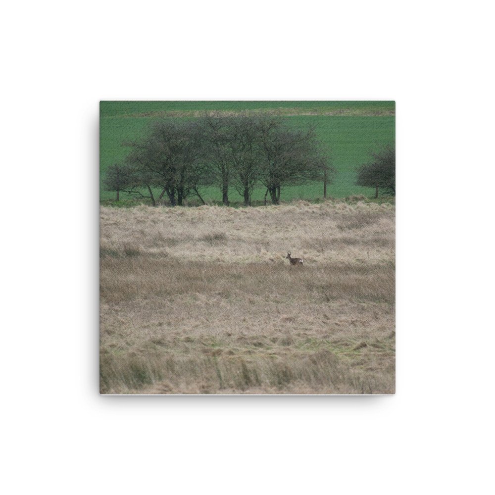 thin-canvas-(in)-12x12-front-65de5c4a0f6ef.jpg