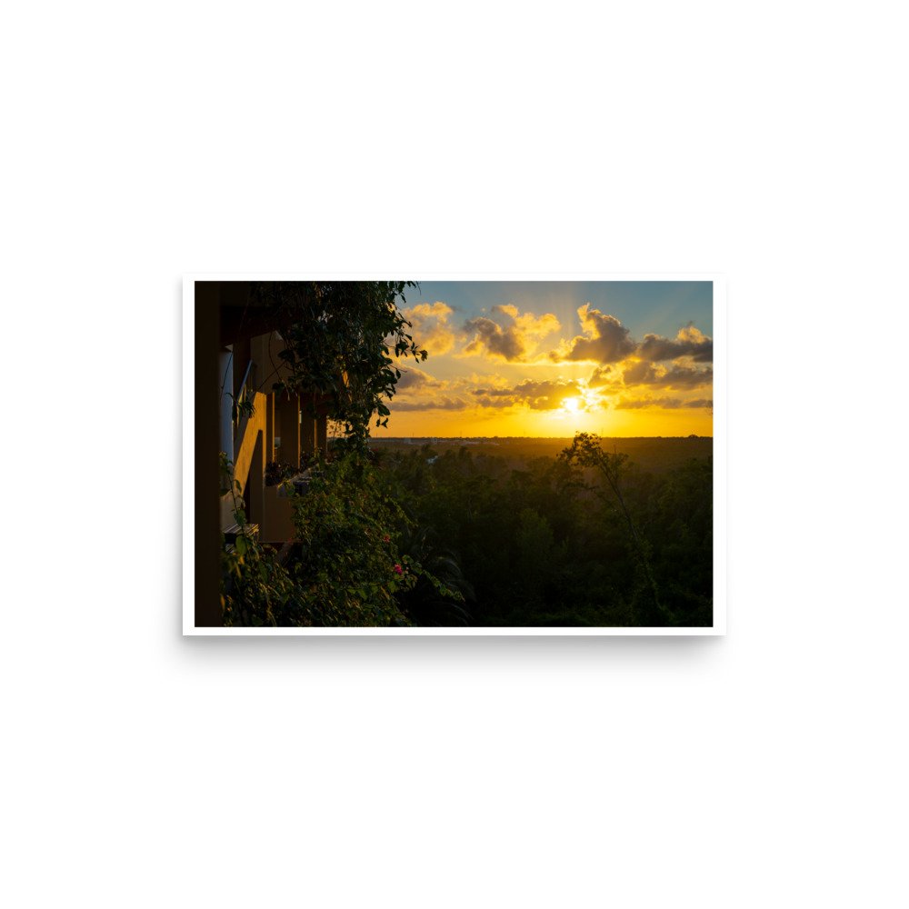 enhanced-matte-paper-poster-(in)-12x18-front-65de5e927ed38.jpg