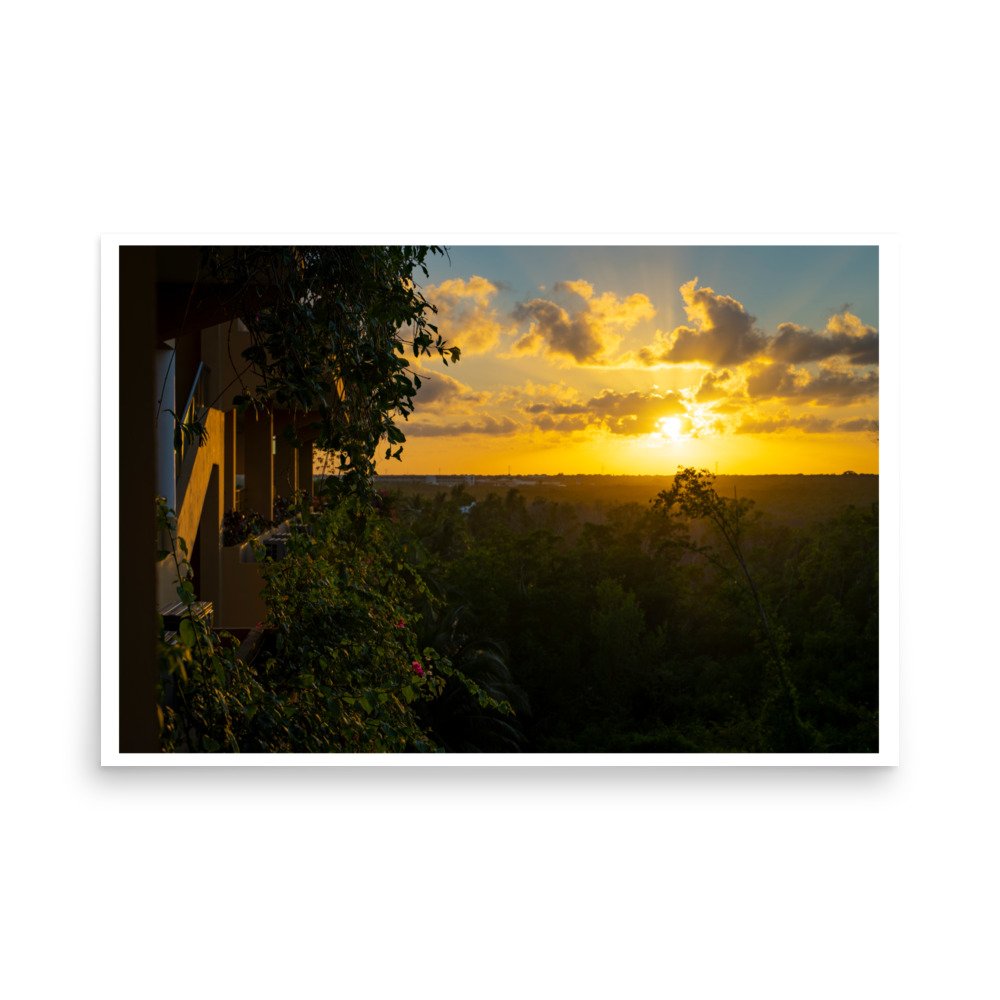 enhanced-matte-paper-poster-(in)-24x36-front-65de5e927ee4a.jpg