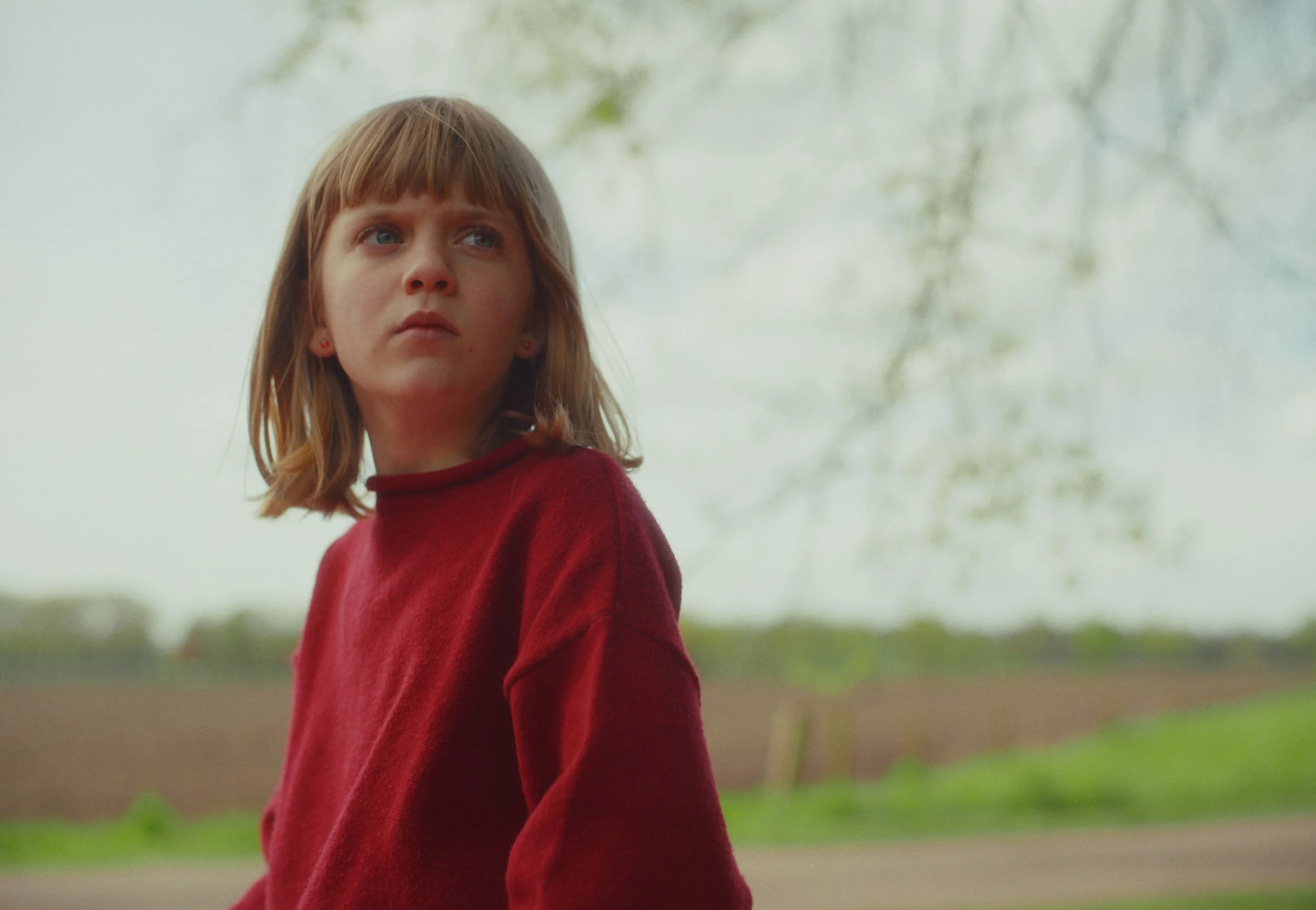 Still 2024-07-01 160434.jpeg