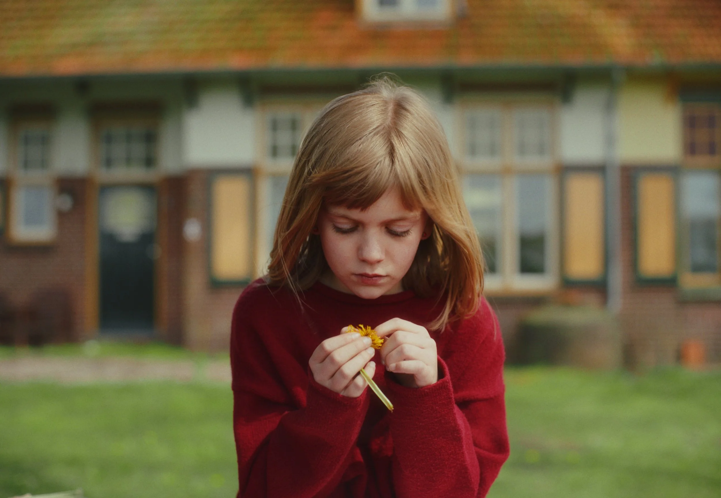 Still 2024-07-01 160436.jpeg