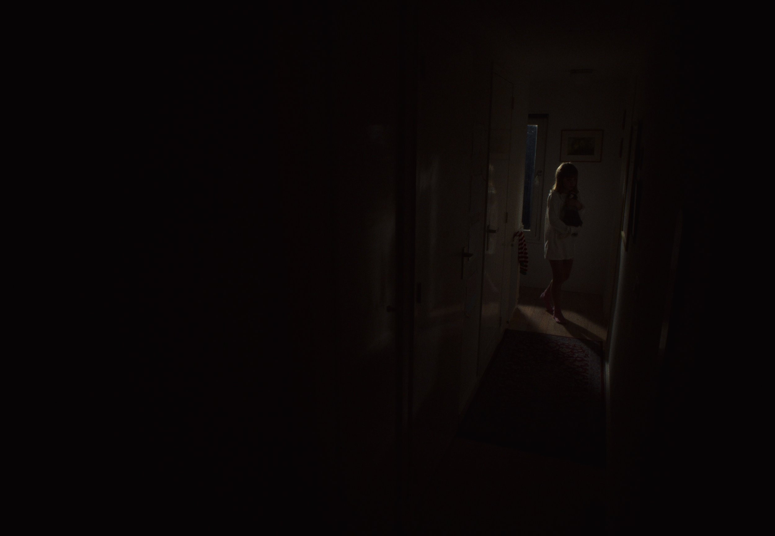 Still 2024-07-01 160417.jpg