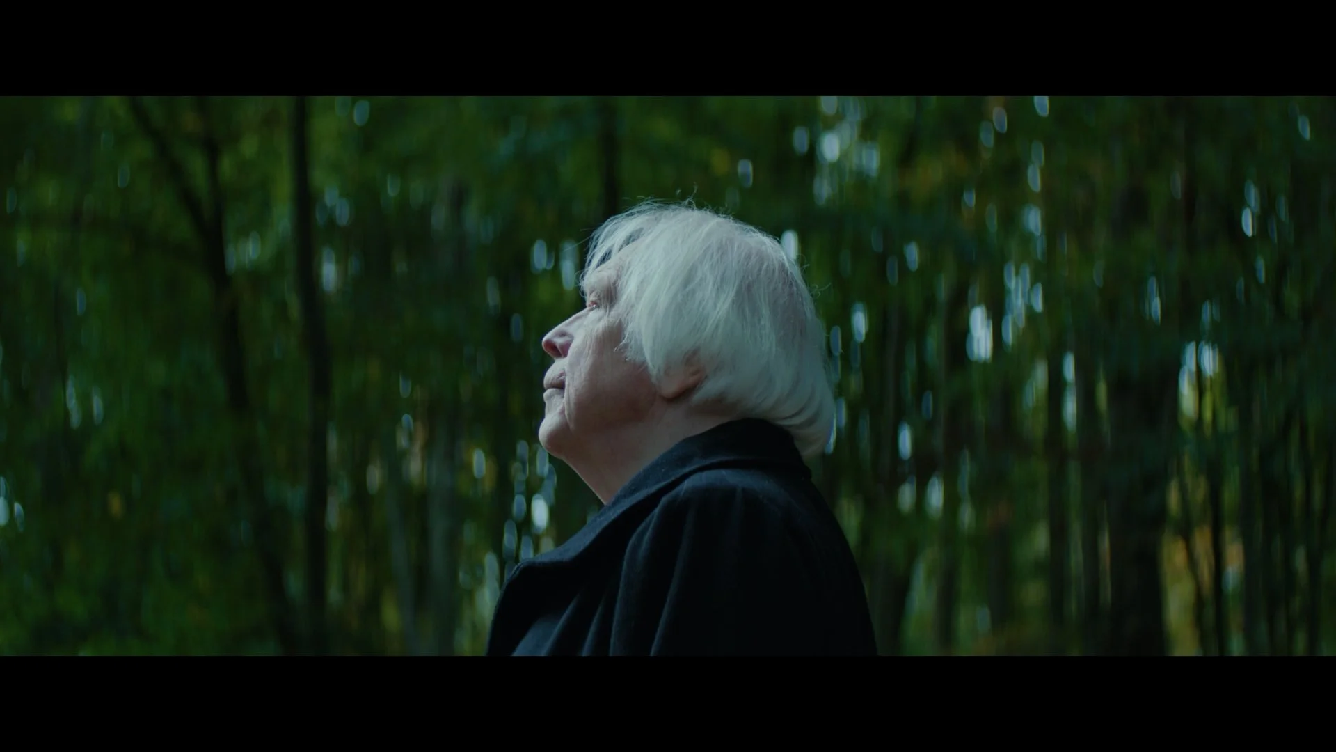 Still 2025-10-19 232730_1.19.1.jpg