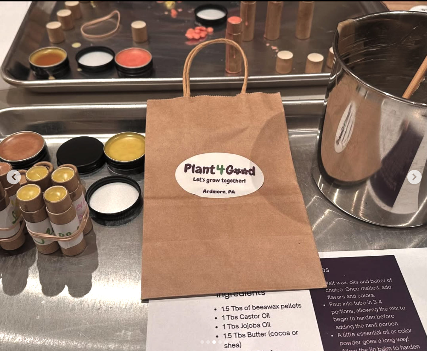 DIY Lip Balm Workshop 