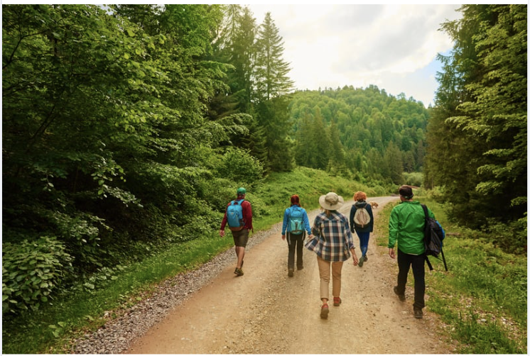 Nature Walk and Meditation