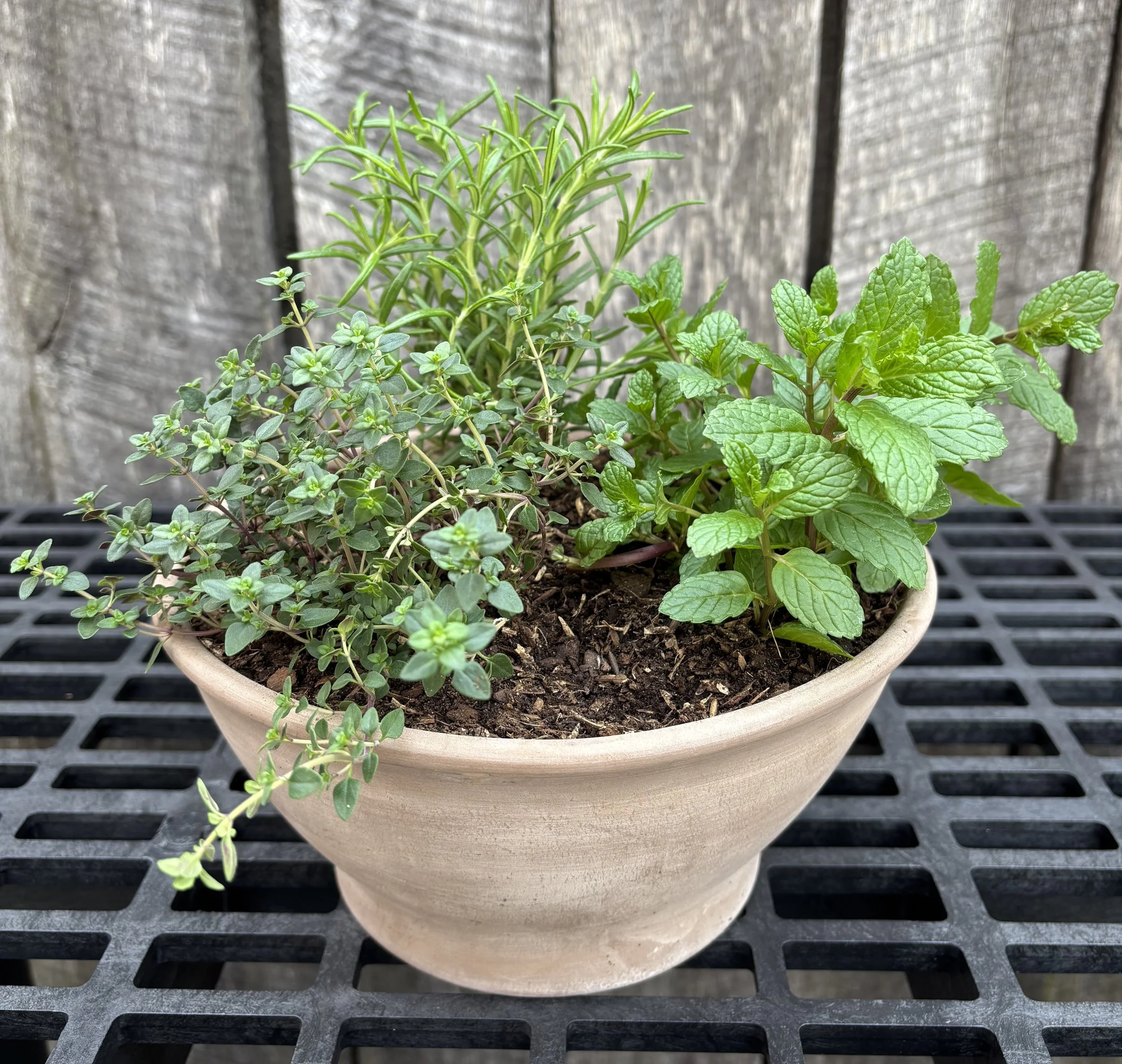Herb Garden Bowl Workshop at Pinwheel Provisions