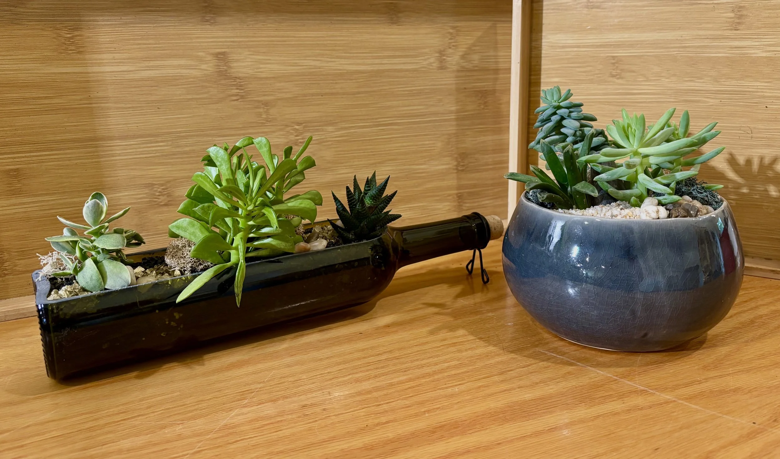 End of Summer Sip & Succulents