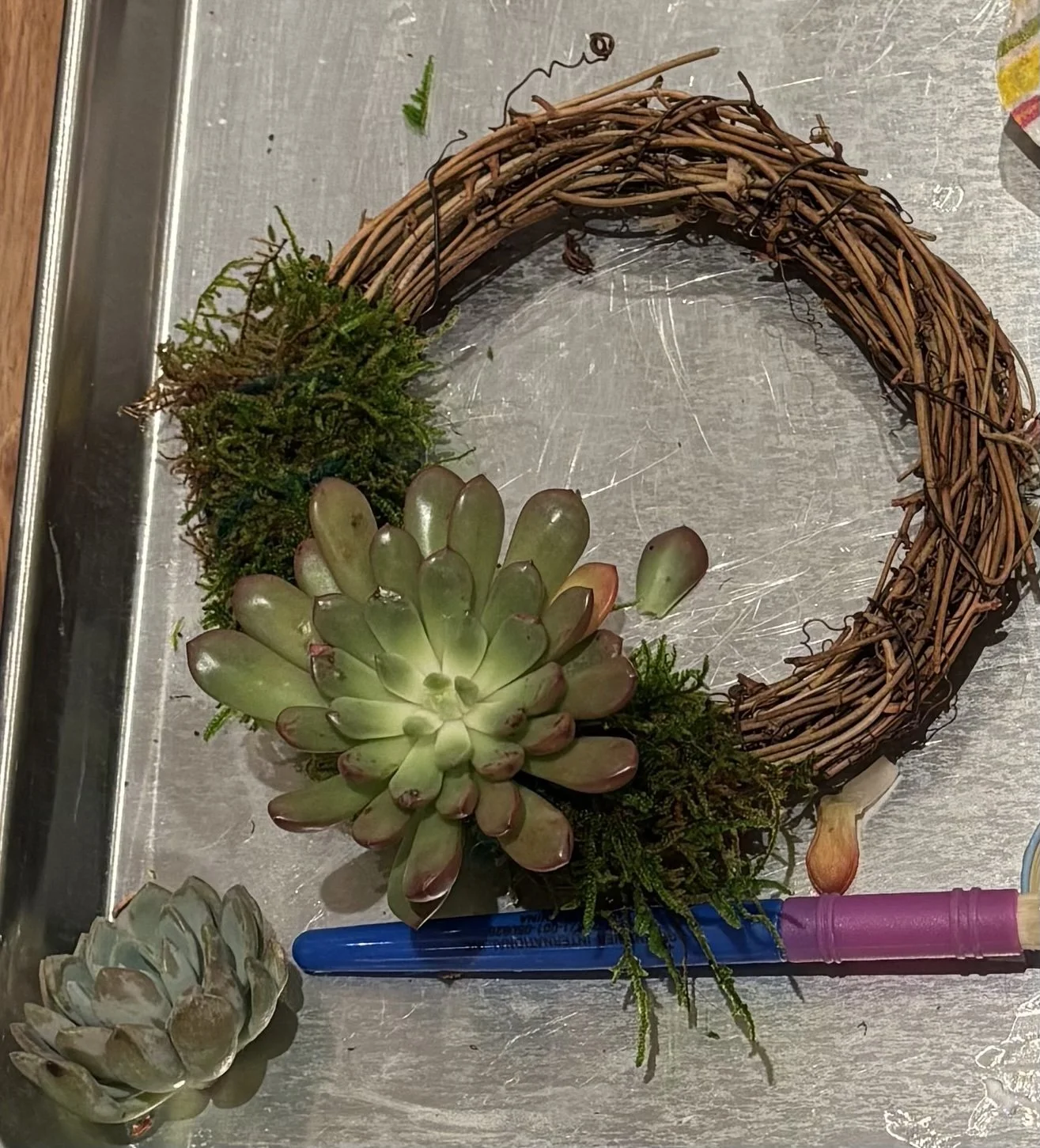 Succulent Mini-Wreaths — First Friday December