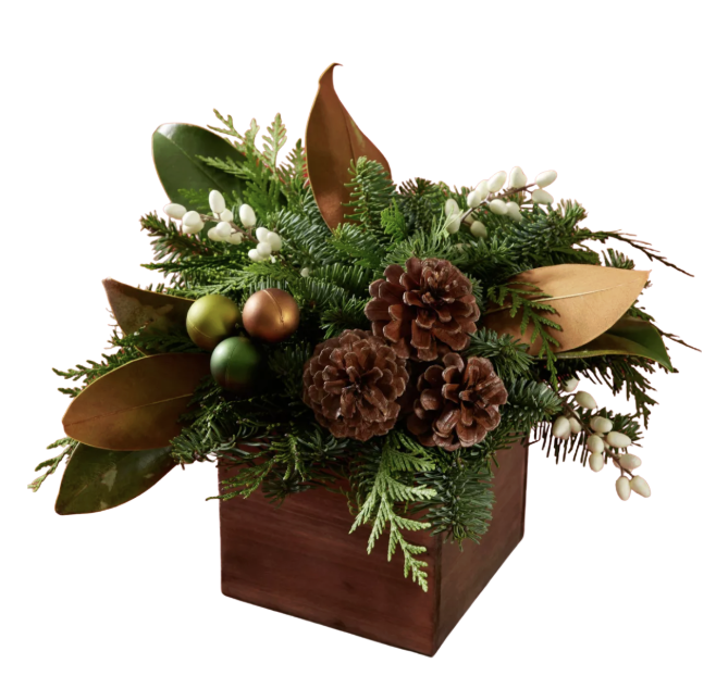 Holiday Greens Centerpiece Workshop