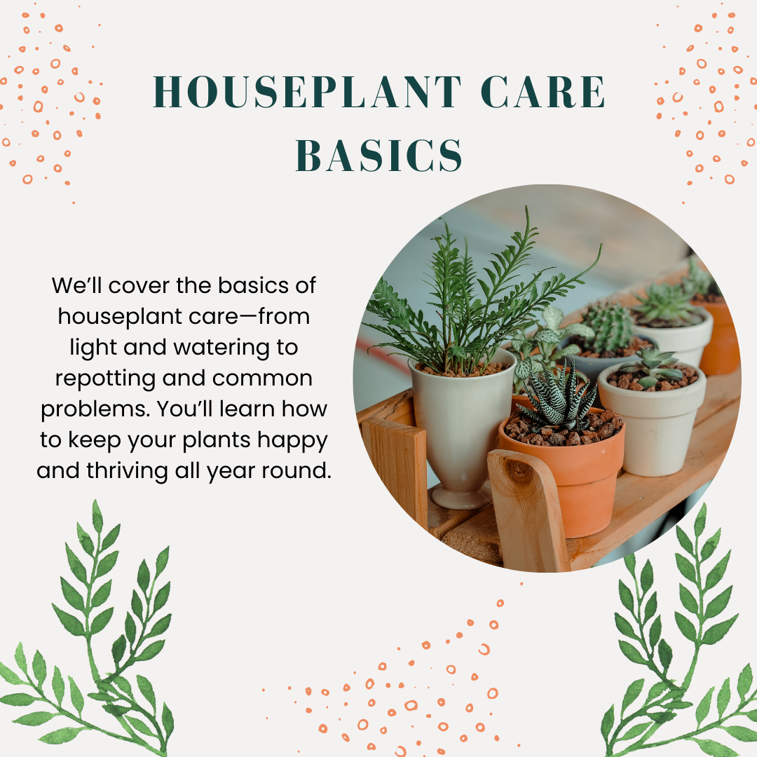 a picture of 6 houseplants in pots with a description of the houseplant care basics class